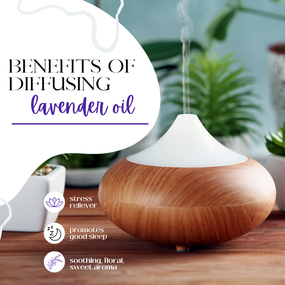 French Lavender Essential Oil 100% Pure Many Sizes FreeShip