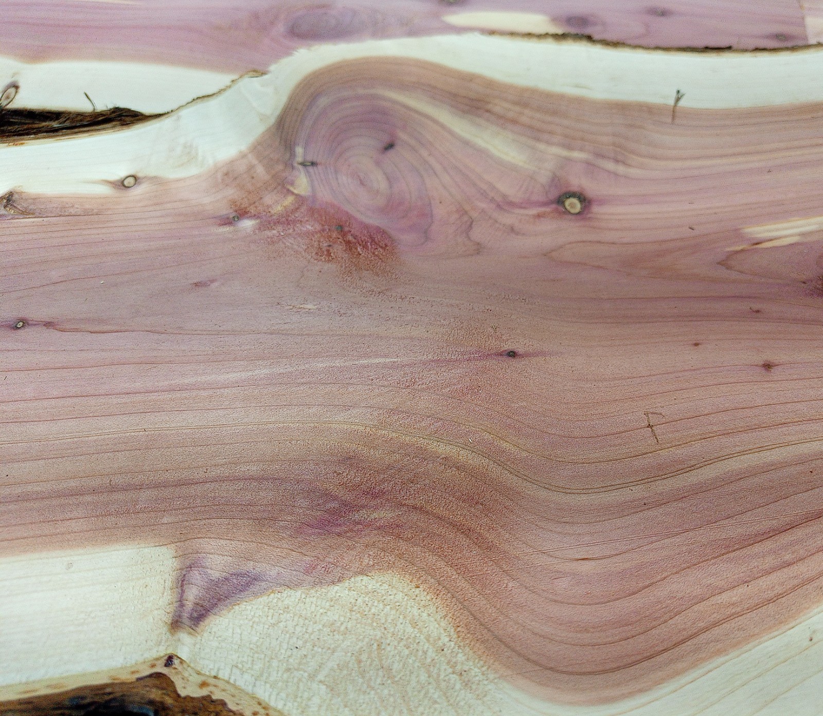 RED AROMATIC CEDAR Milled Live Edge SLABs 1/2in Thick 15 Pounds Ships Free!