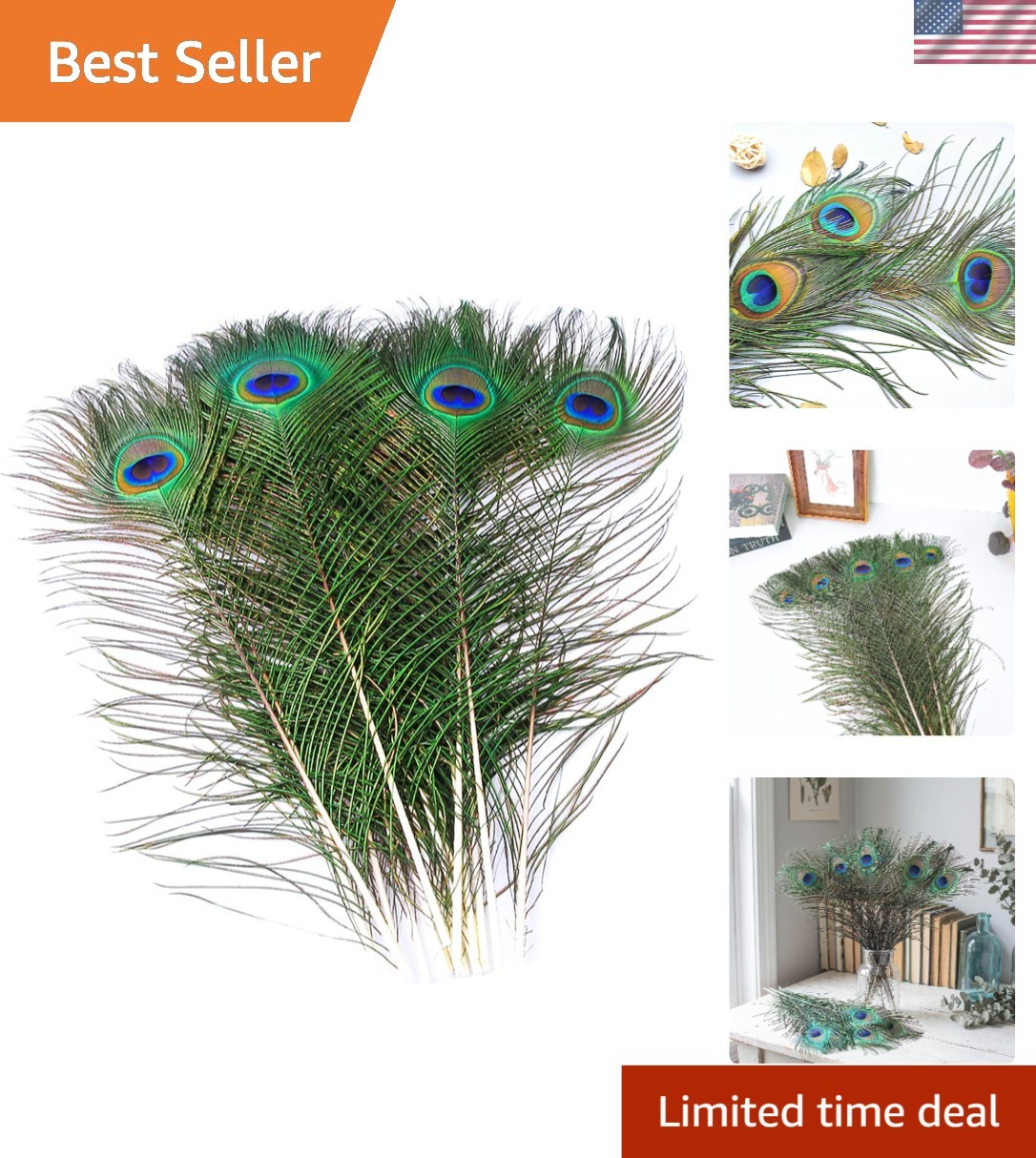 10 pcs Cruelty-Free Peacock Feathers (16-18in) – Unique Decor for Every Occasion