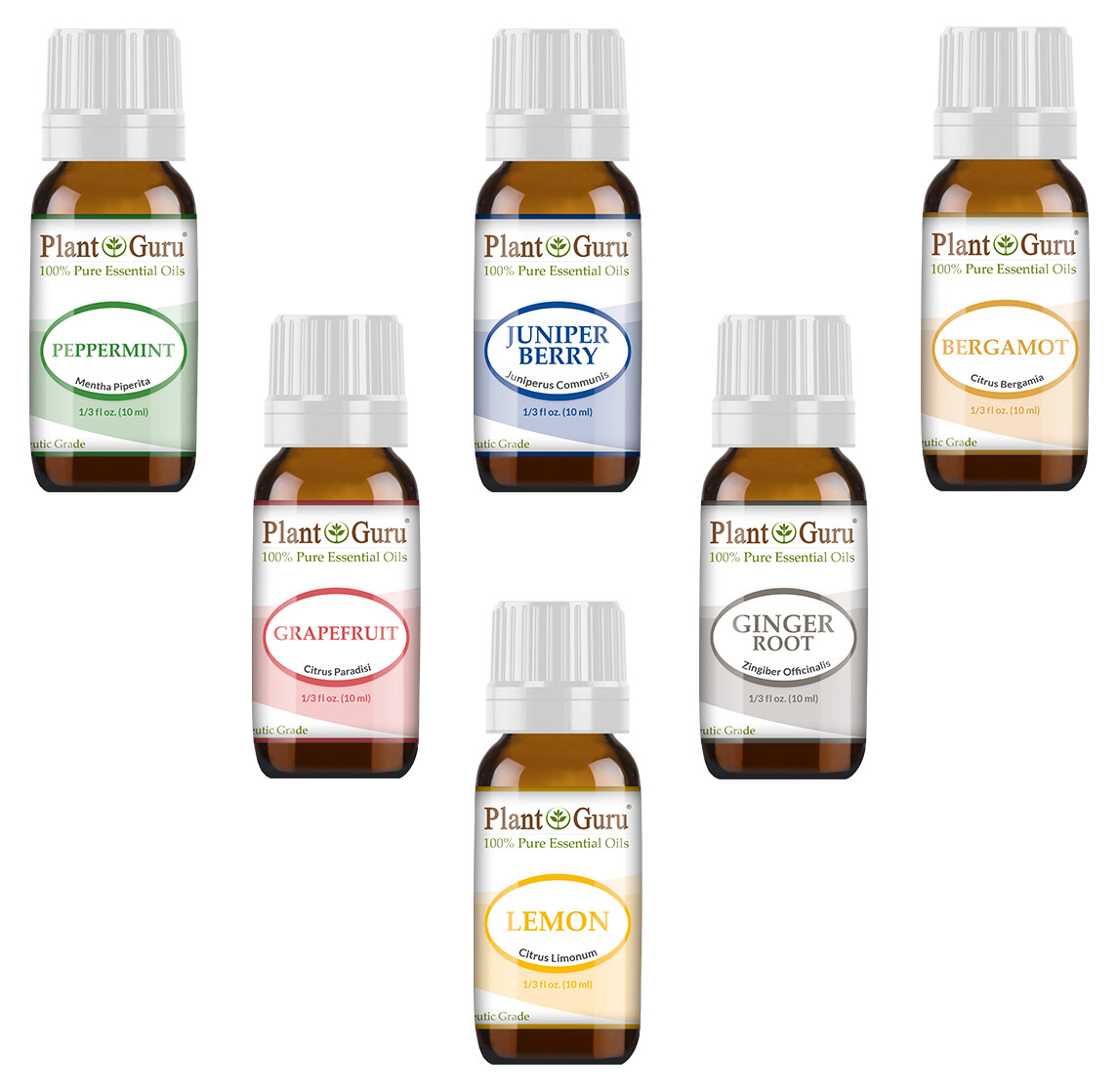 Weight Loss Essential Oil Set Gift Kit 6 – 10 ml Therapeutic Grade 100% Pure Lot