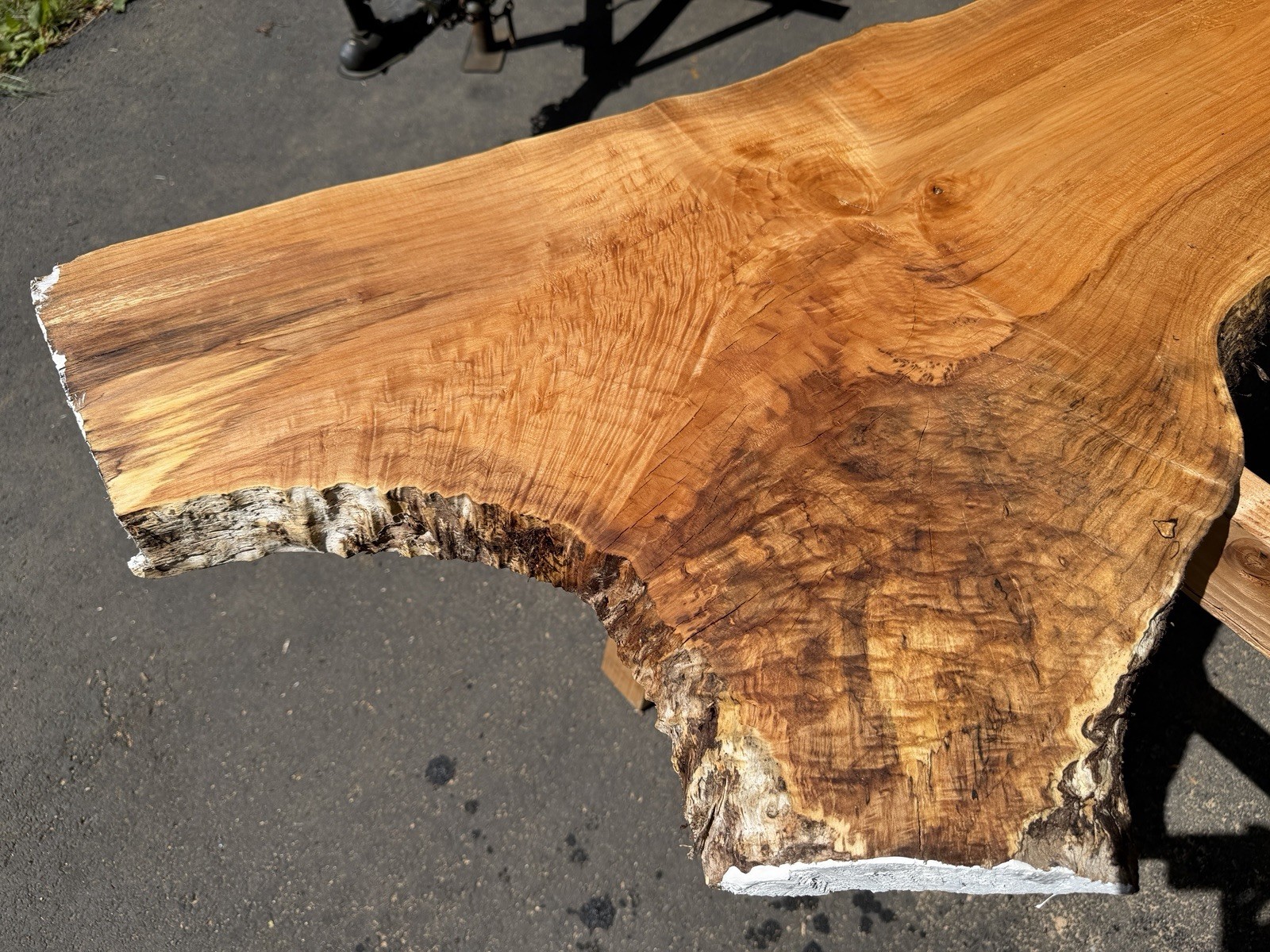 13’ Live Edge Big Leaf Maple Slab Highly Figured Low Moisture Delivery Options