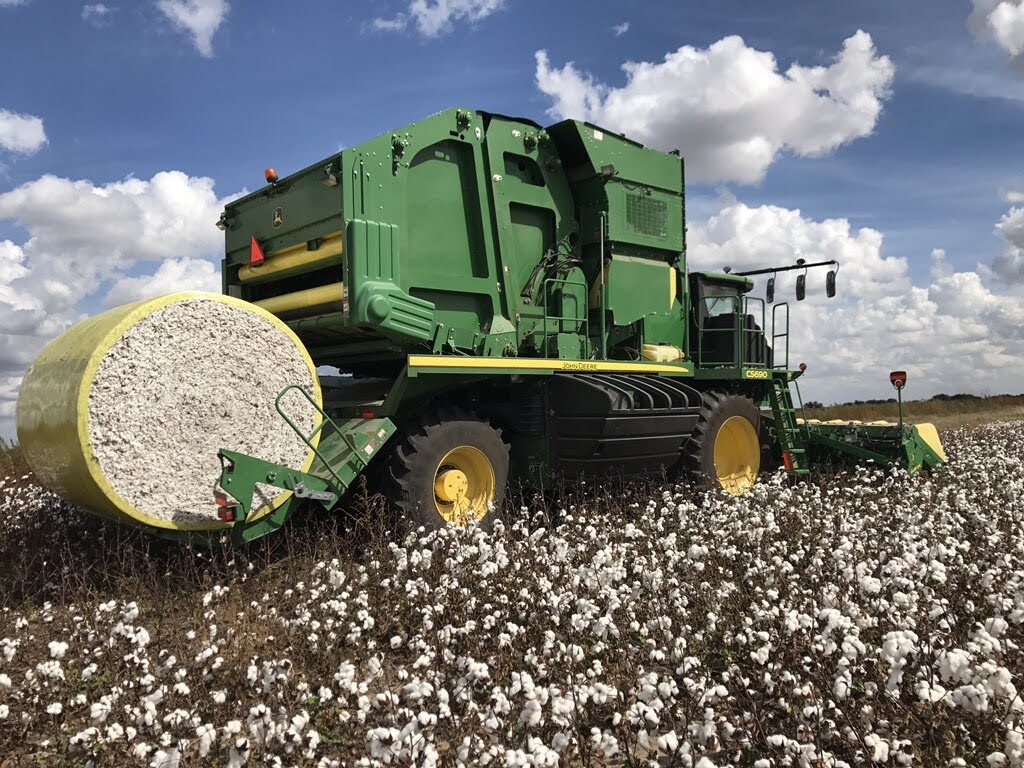 Grown in The USA Raw Cotton Stuffing/Batting