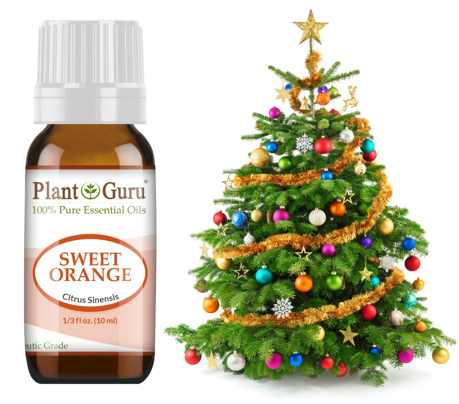 Christmas Holiday Essential Oil Set Pure Aromatherapy Balsam Fir Clove Cinnamon