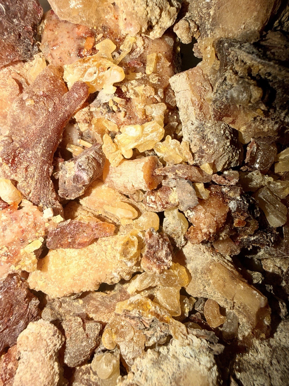 Harvested Pine Resin- Raw, Organic, Unfiltered Tree Sap- Salves, Incense… 14