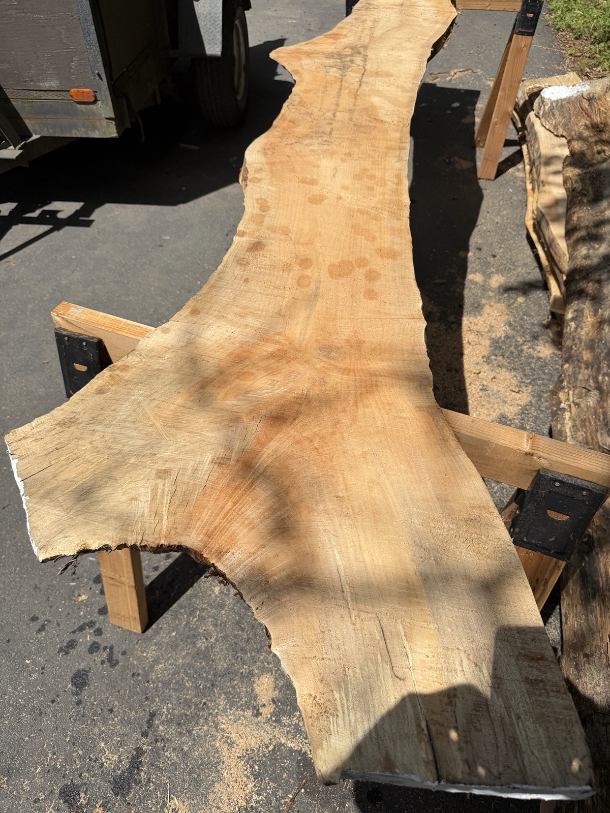 13’ Live Edge Big Leaf Maple Slab Highly Figured Low Moisture Delivery Options