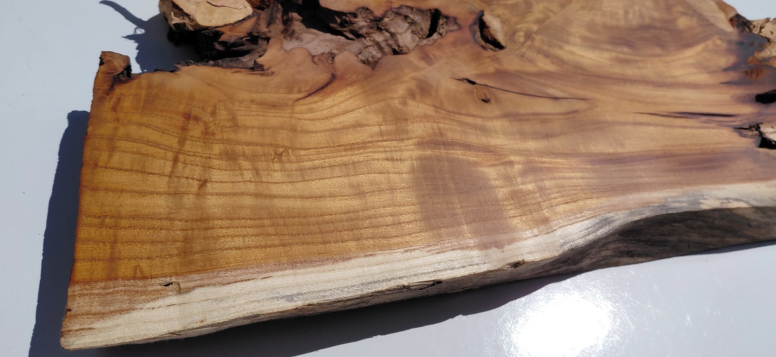 Burl – Fruitless Mulberry Slice. Live Edge. Resin Project, wall art