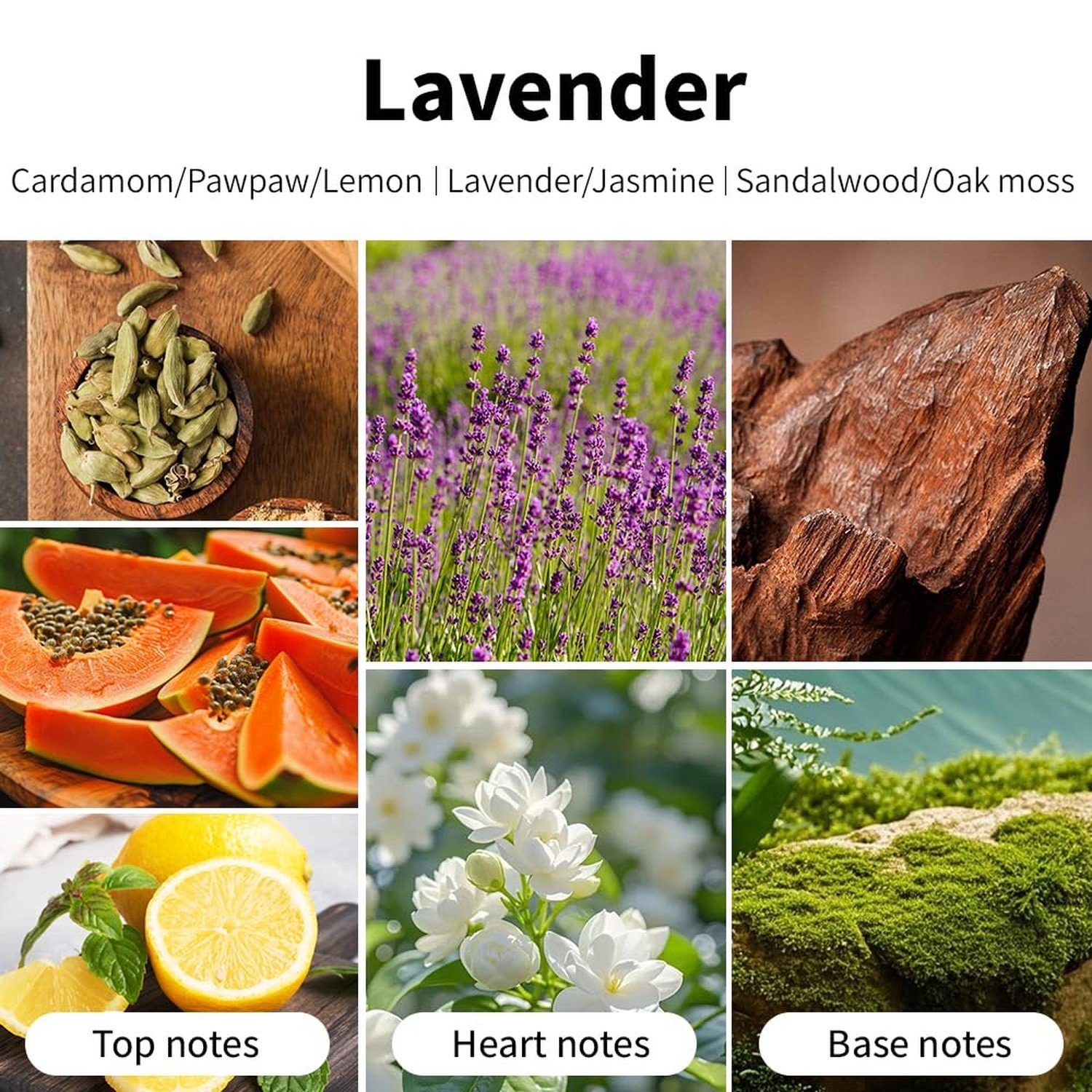 Lavender Scented Candles, 7oz Soy Wax Candle, Long Lasting Aromatherapy Jar C…
