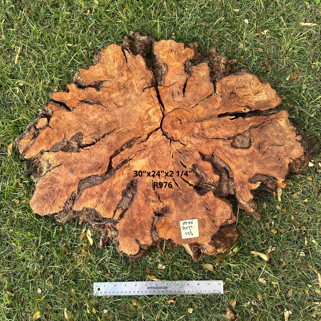 Large Live Edge Olive Cookie 30″x24″x2 1/4″ R976