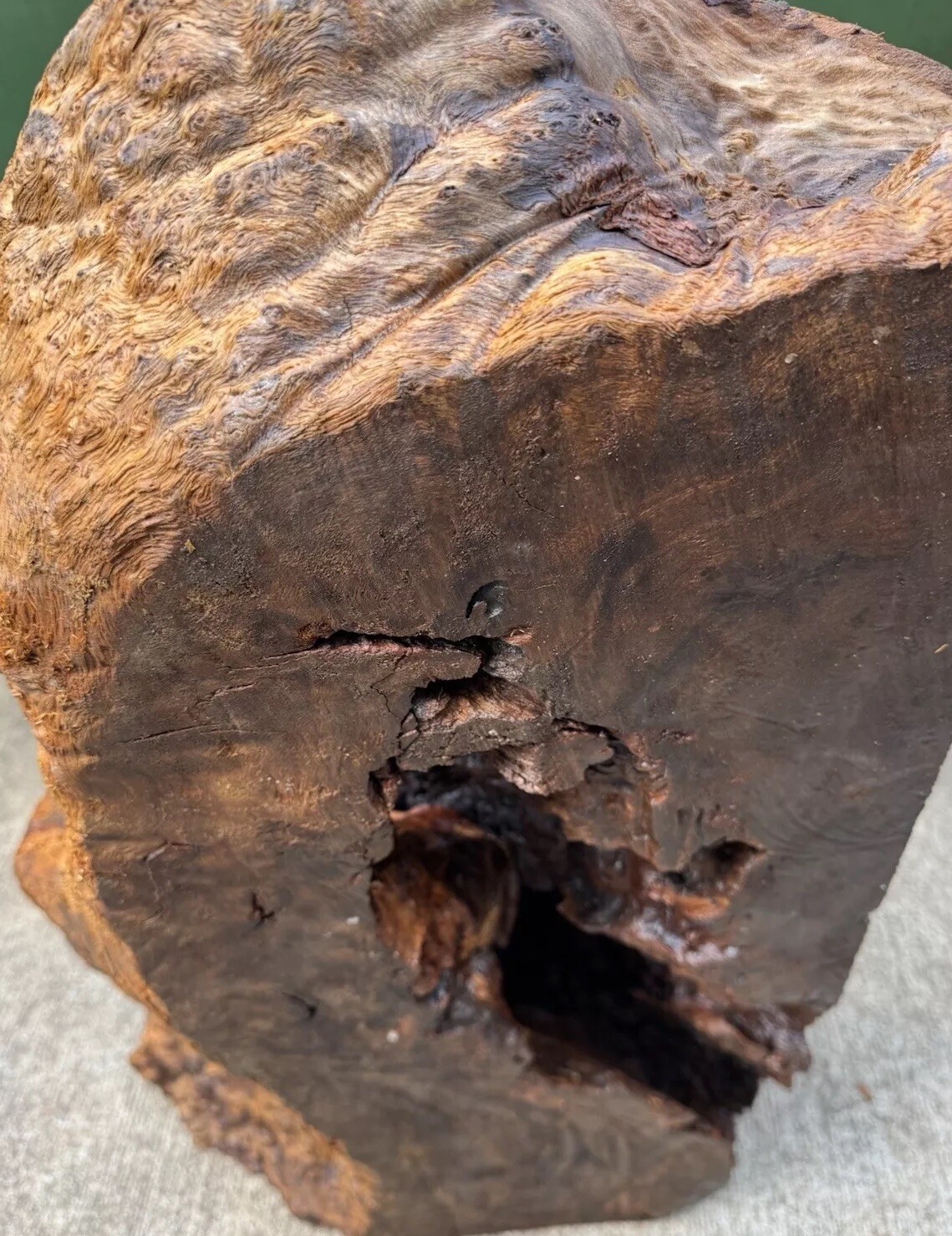 12106 Camphor burl wood turning blank ,hybrid Scale,Dried, 30”x 15”x 6”