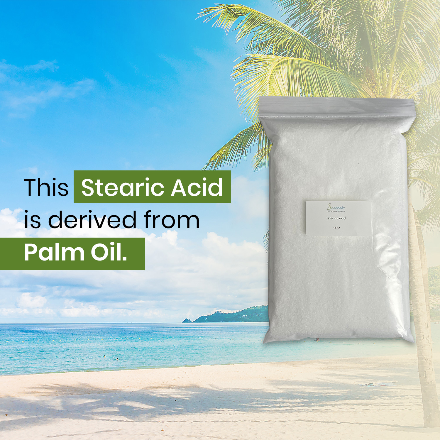 100 % PURE STEARIC ACID VEGETABLE PREMIUM QUALITY TRIPLE PRESS MADE IN USA