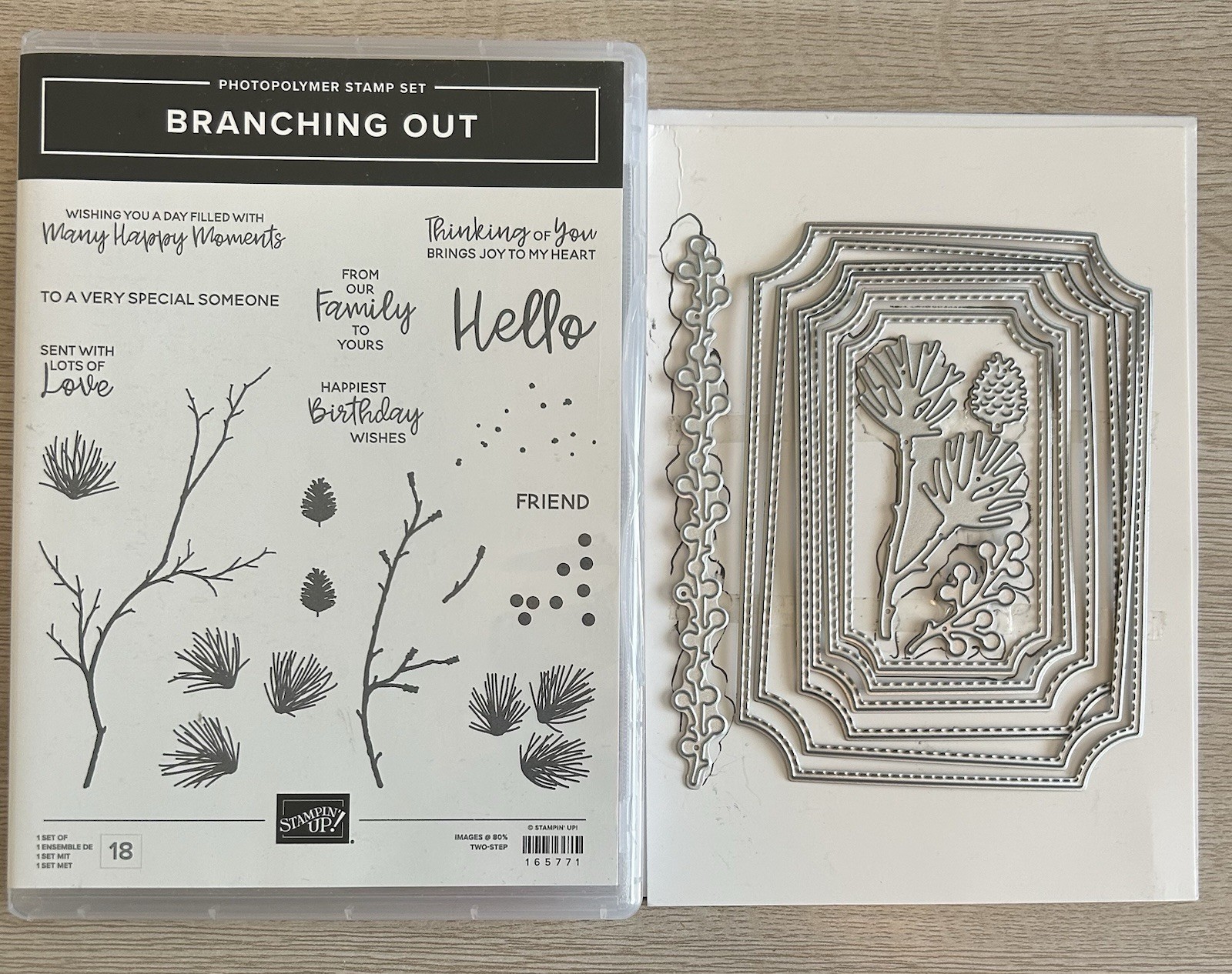 Stampin’ Up! Branching Out Stamp Set & Dies Bundle Trees Seasons Birthday Nature