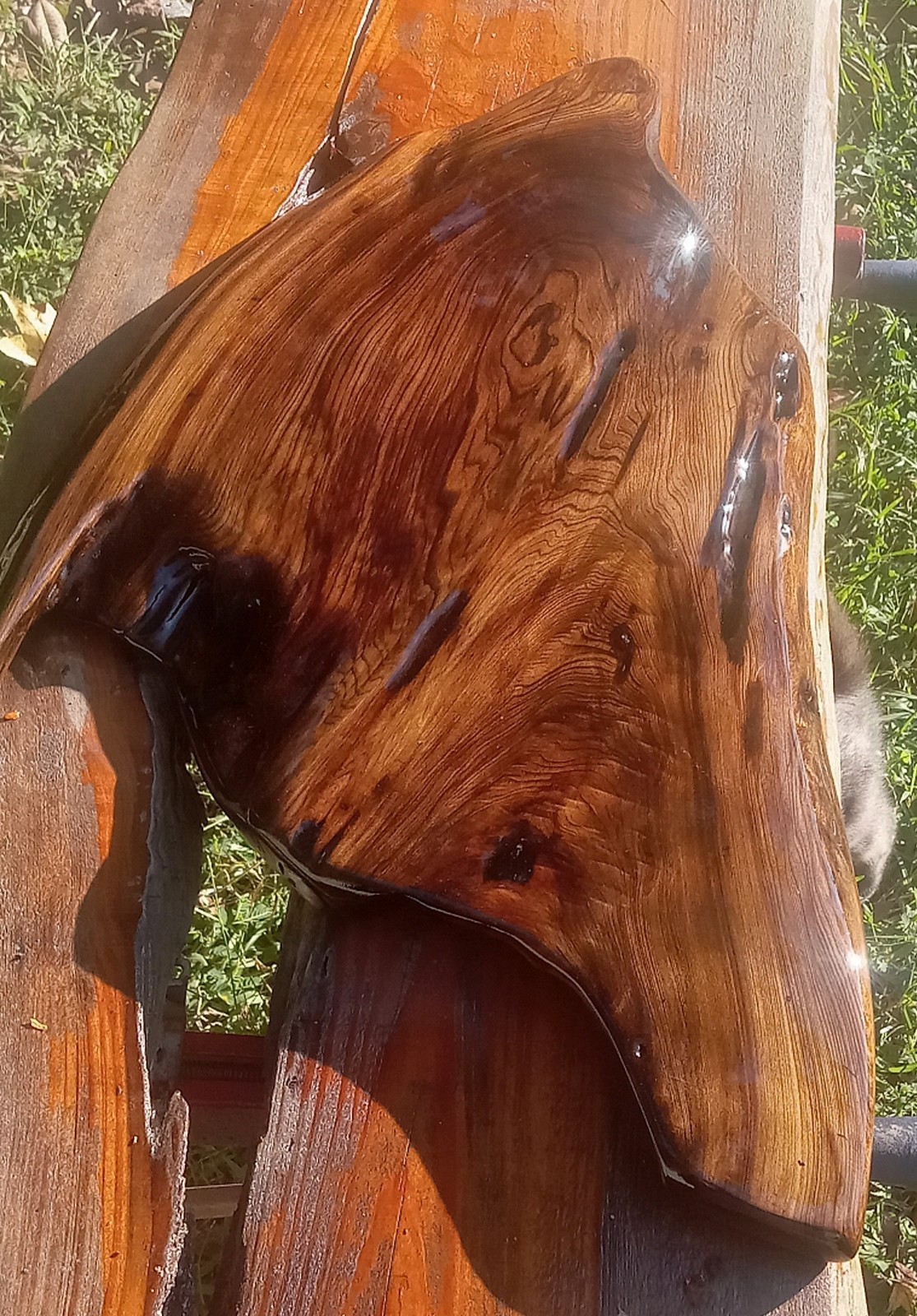 REAL Old Growth Sinker Cypress Wood Bonsai Stand Shower Table Returns Accepted!