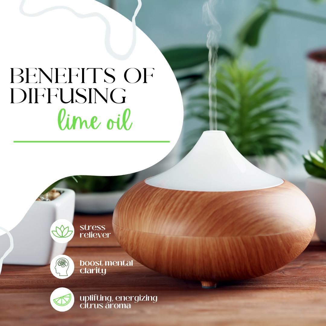 Lime Essential Oil 100% Pure Many Sizes Free Shipping