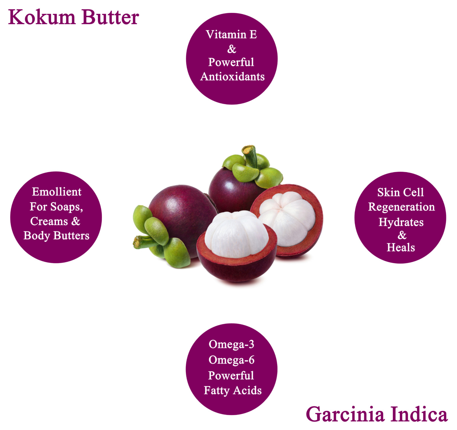Raw Kokum Butter 32 oz. / 2 lbs. 100% Pure Natural Organic Cold Pressed Bulk