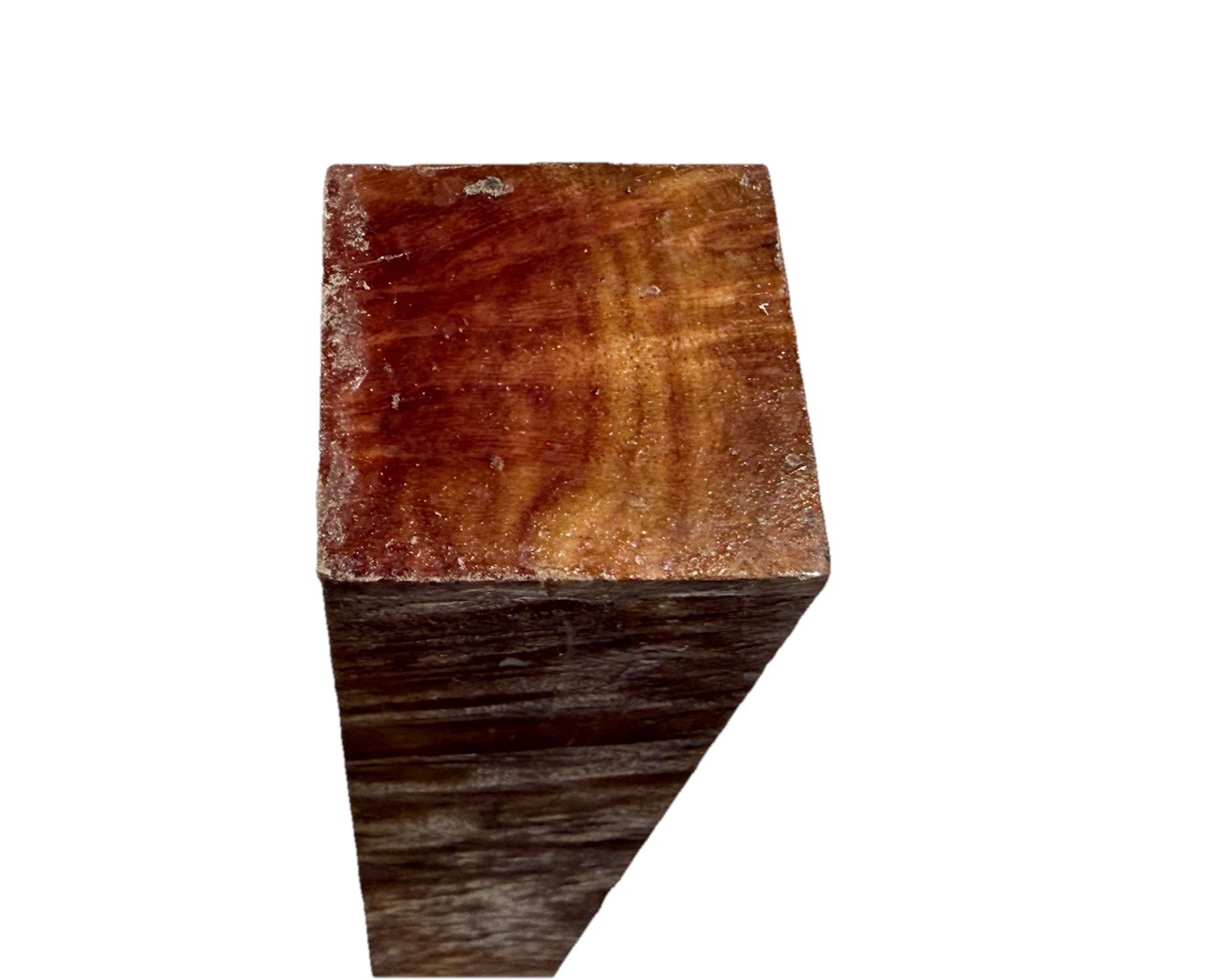 Camphor Burl wood turning blank 1-1/2″ x 1-1/2” x 9-3/4″ (z23) dried – BUG HOLE