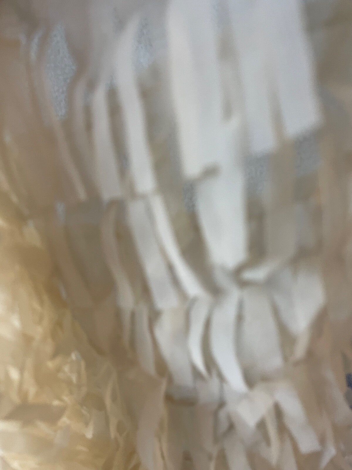 Fabric Lot 2 Yds 56 W Apparel Laser Cut Beige Vanilla Fringe Sheer Organza