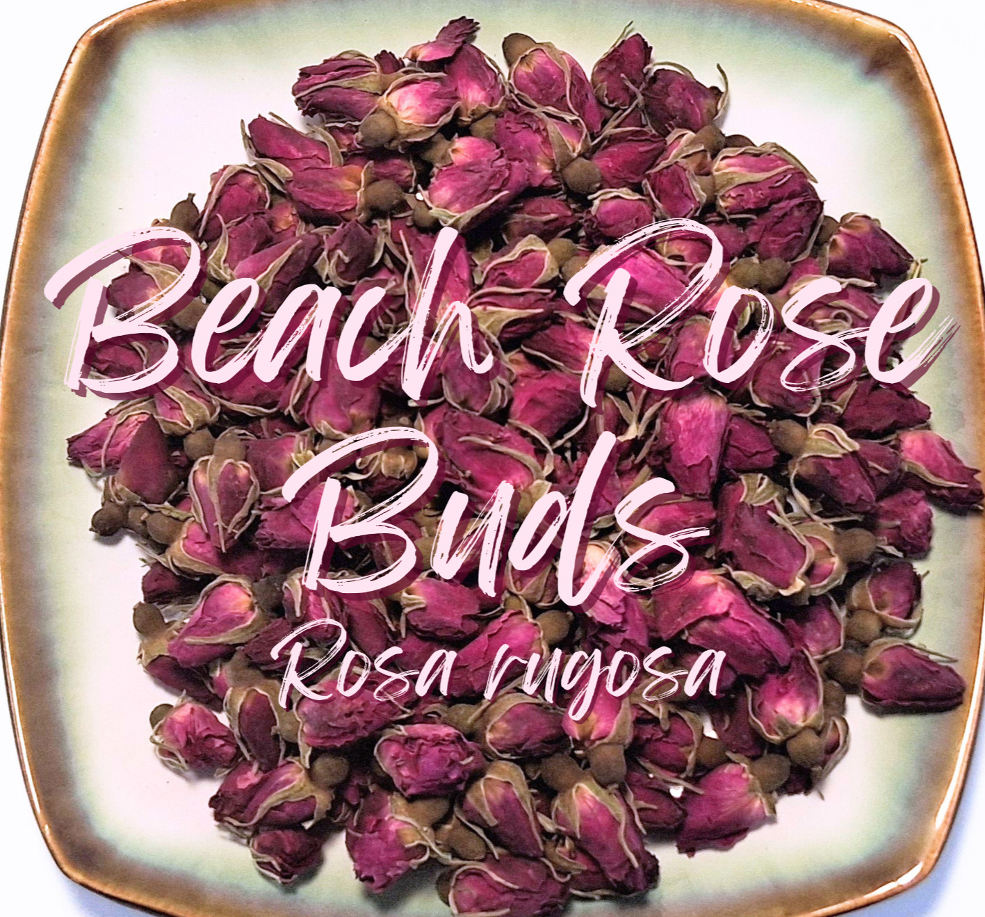 Beach Rose Buds – Dried Organic Flowers DIY Tea – Rosa rugosa CHOOSE 0.5 – 4 oz