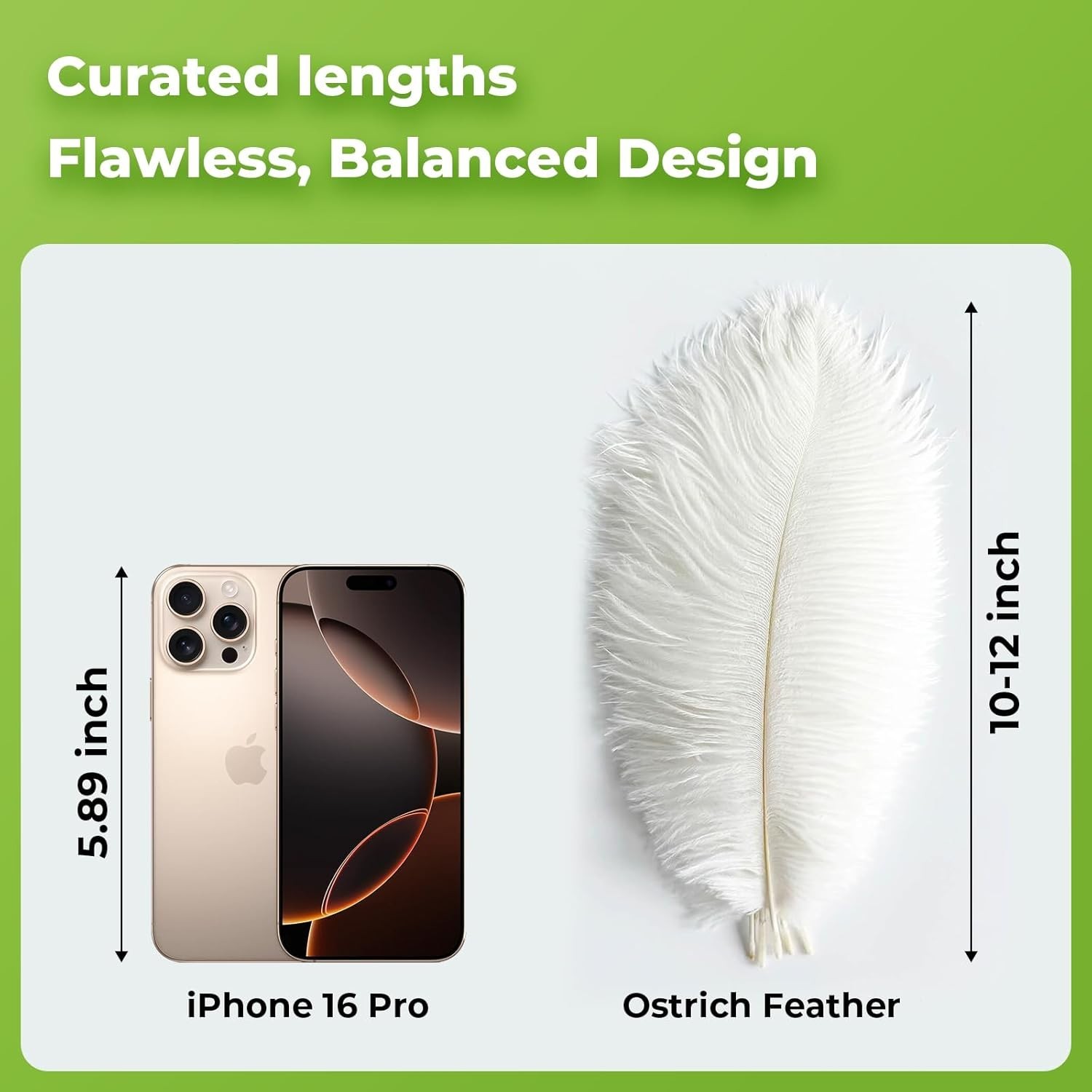 Cruelty-Free 20Pcs White Ostrich Feathers (10-12 inch) – Style Your Celebration