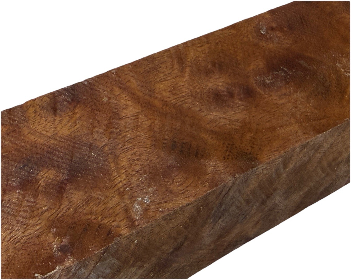Camphor burl wood turning blank 2-1/4″ x 2-1/4″ x 14-1/4″ (e99) Dried