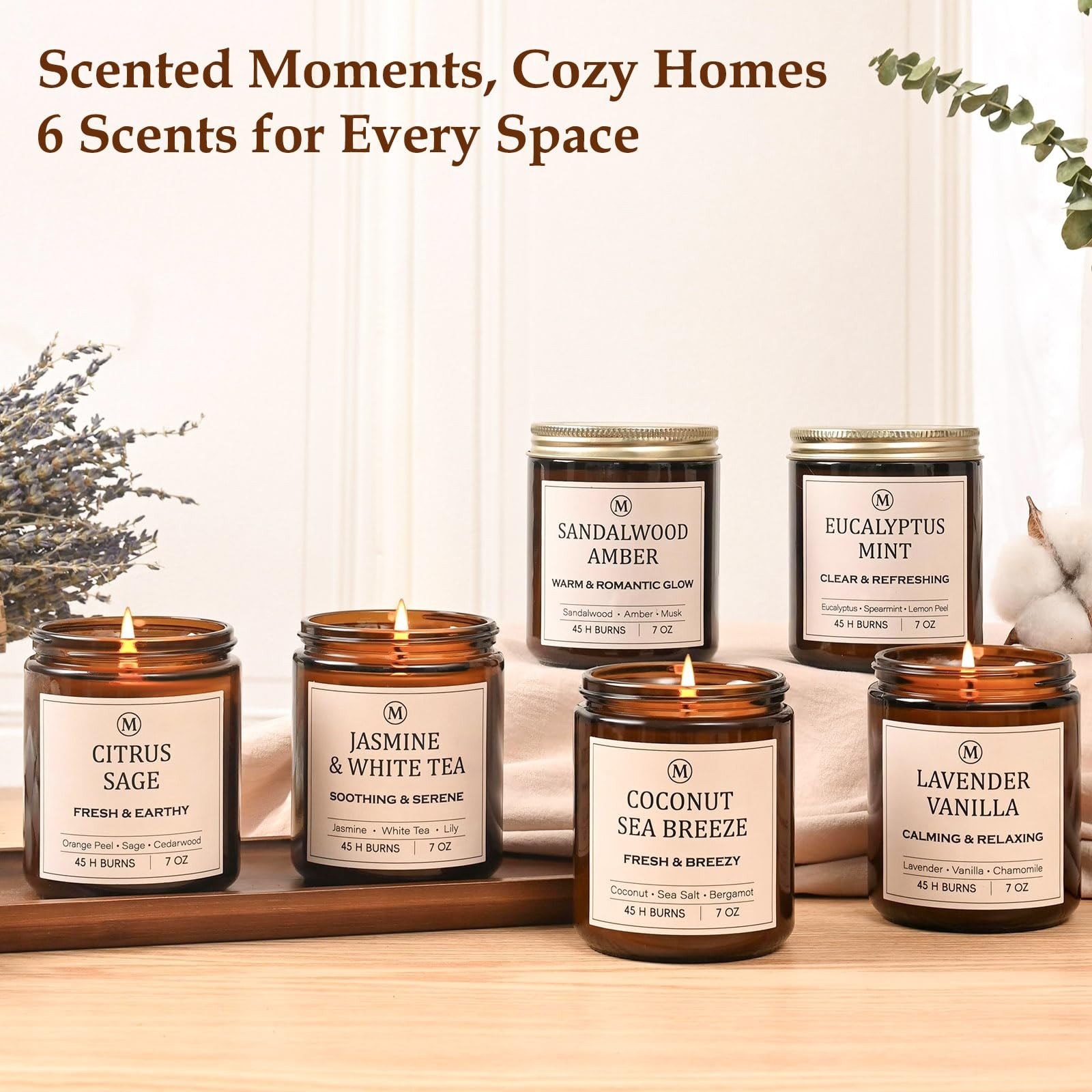 6-Pack Scented Soy Candle Set – Lavender Vanilla, Eucalyptus, Sandalwood,