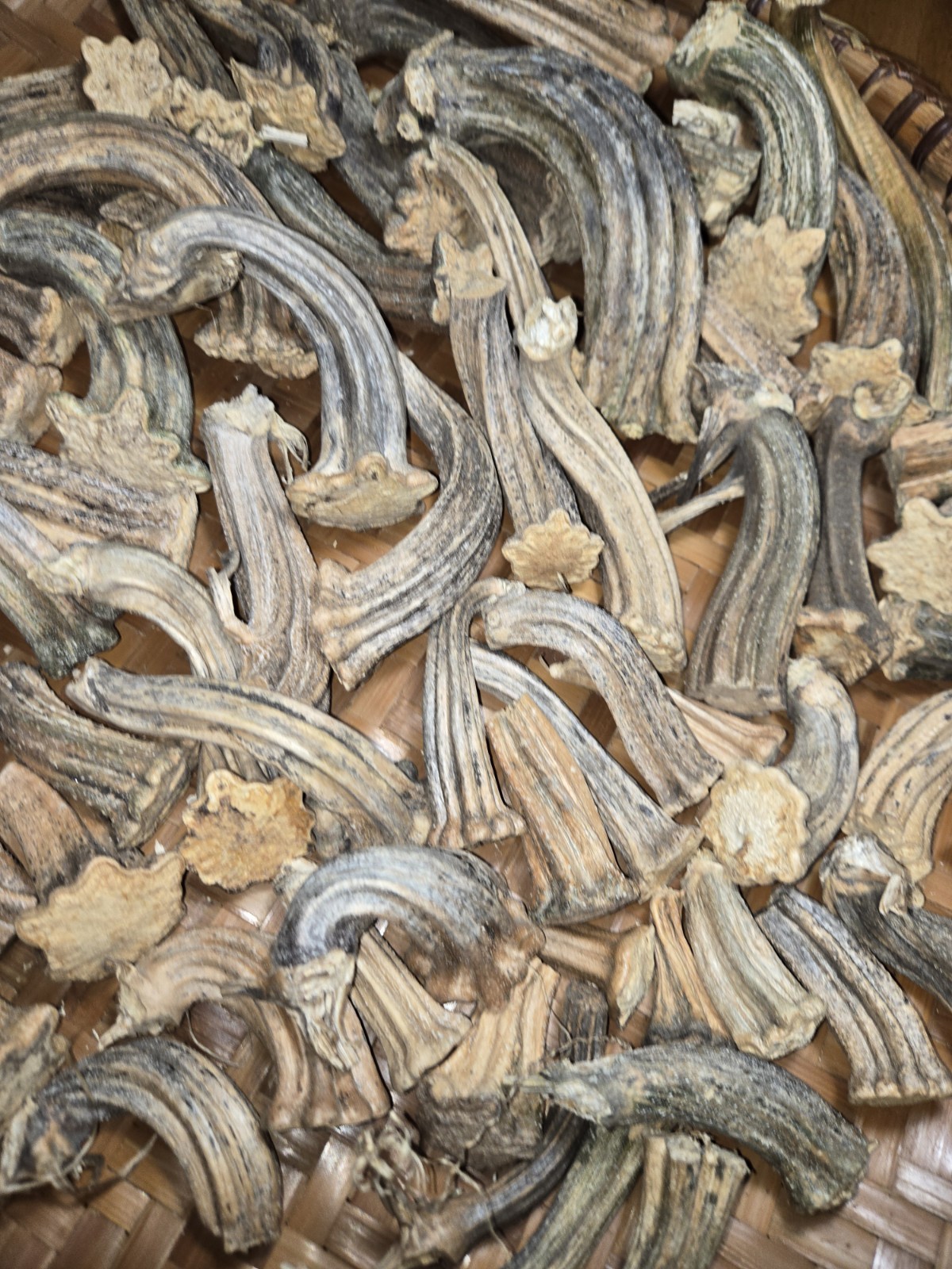 60+Quality Mix Lot Natural Dried Pumpkin Stems – Arts, Crafts, Botanical,Gourds