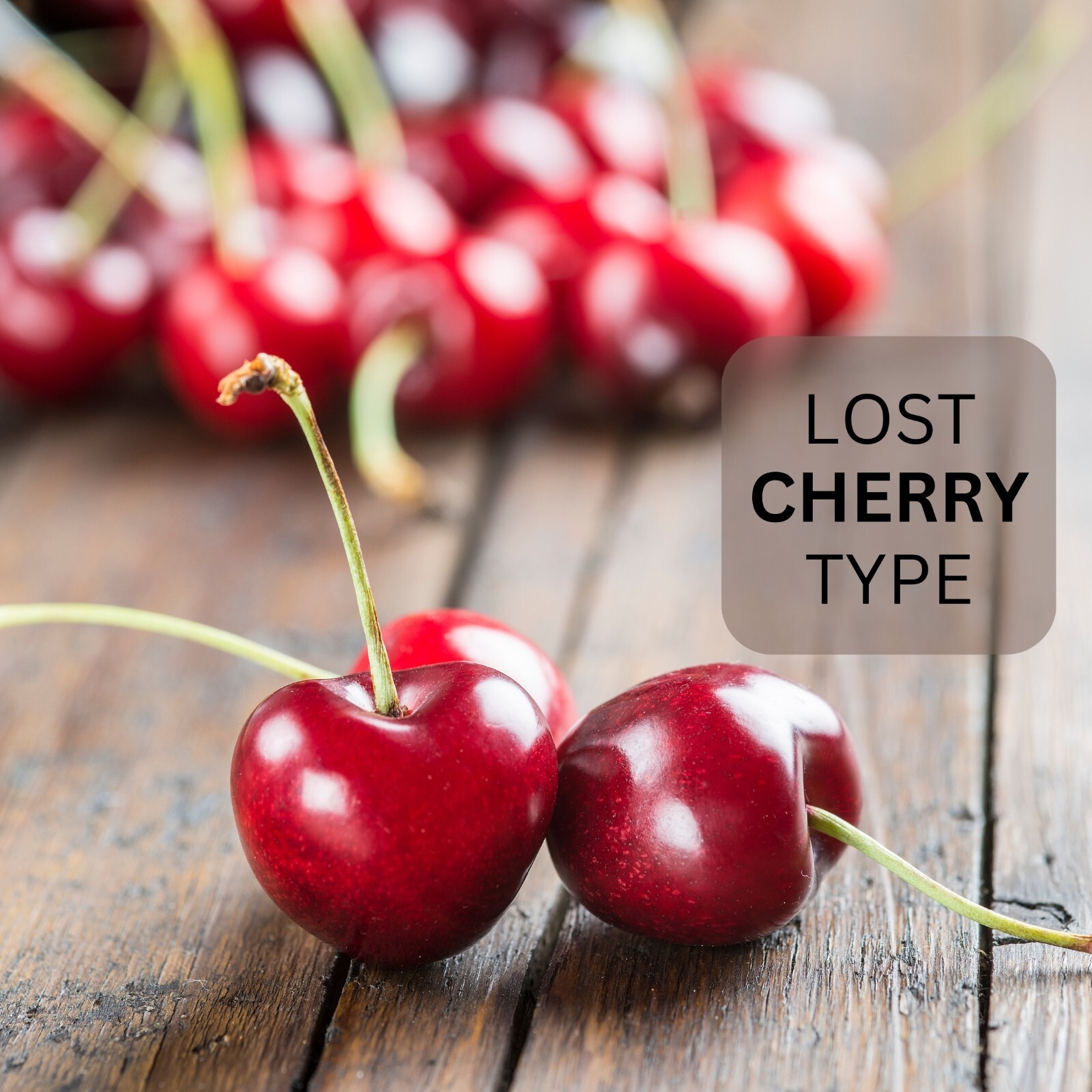 Lost Cherry Fragrance Oil for Body, Candles, Soaps, Lotion, Diffusers & Warmers