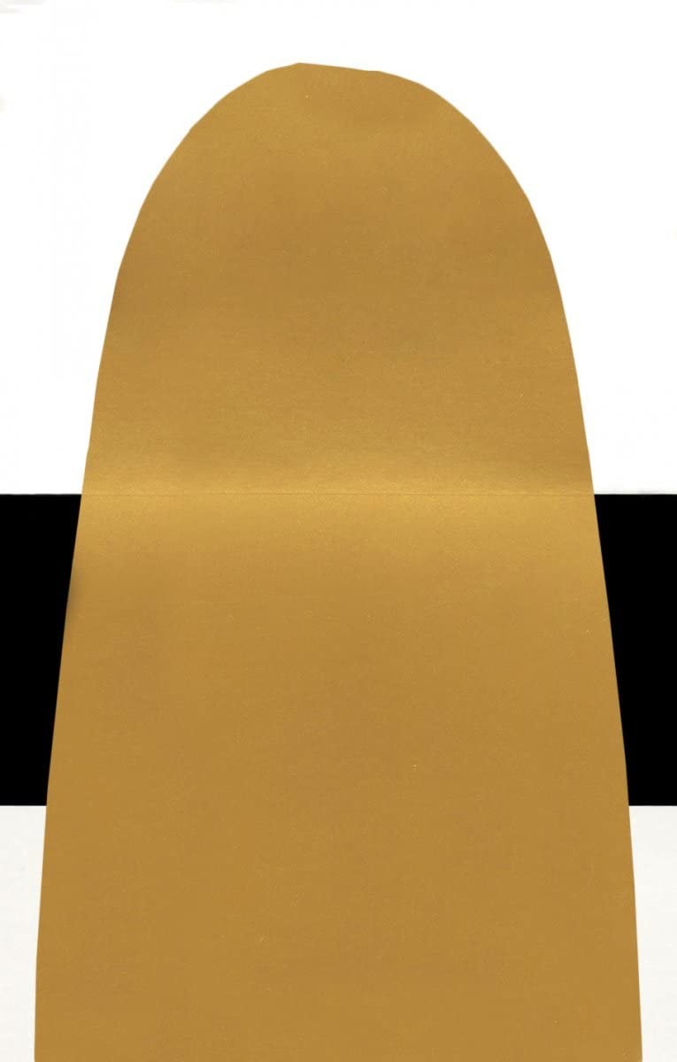Fluid Acrylics by GOLDEN, Iridescent Gold Deep (Fine), 1 fl. oz. Bottle, Prof…