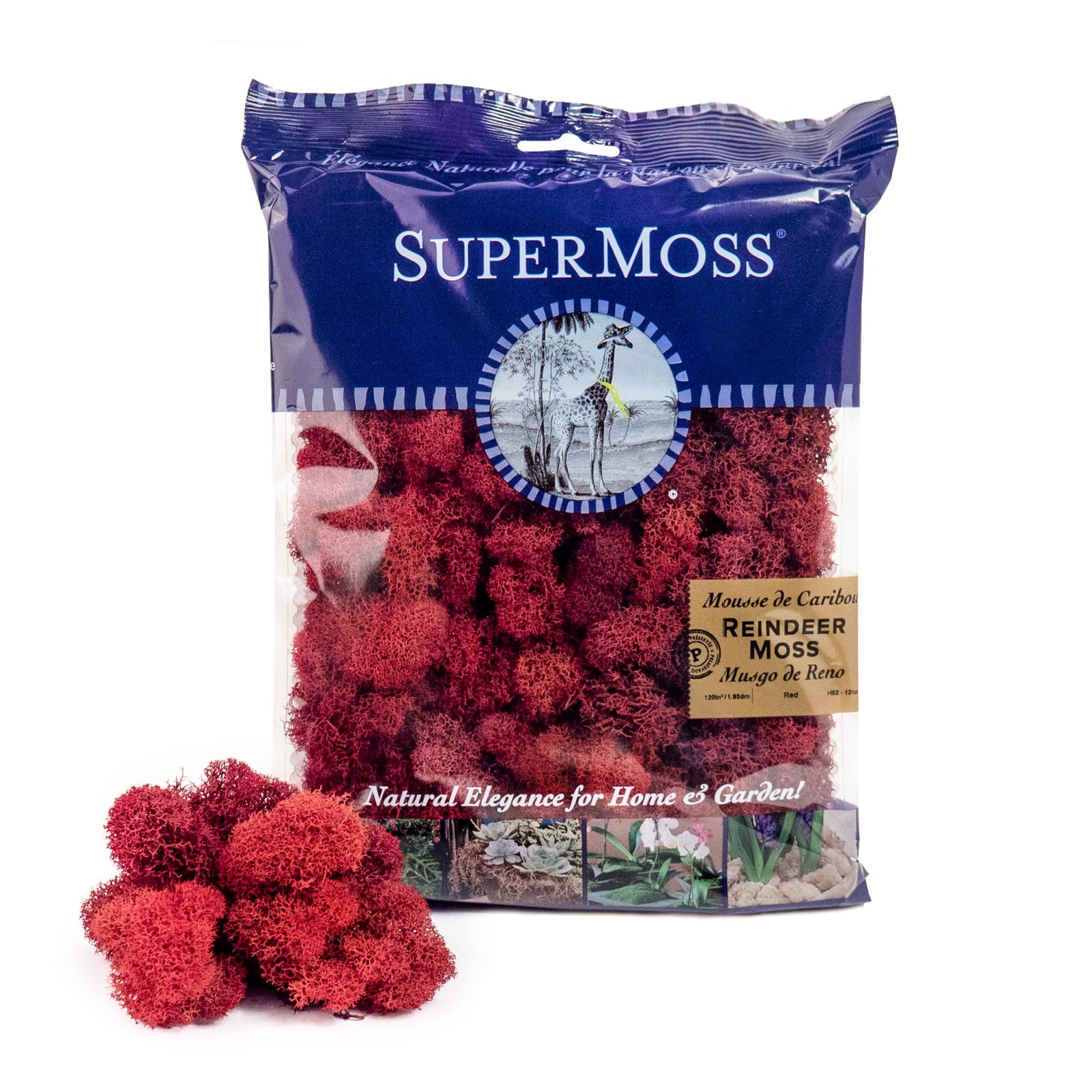 Preserved Reindeer Moss Red 2oz Bag Super 25122