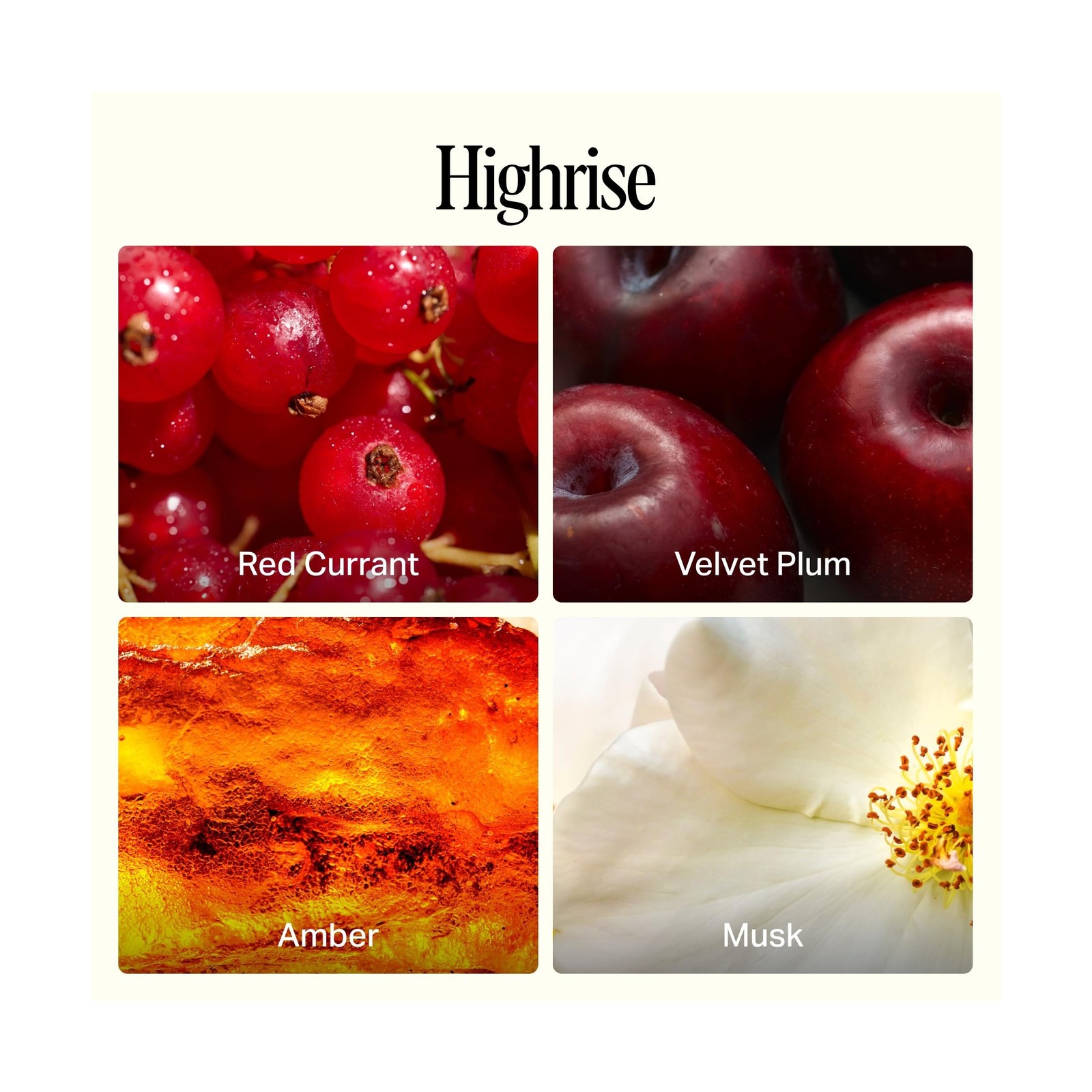 Preston Lane Highrise Extra Large 72oz Scented Candle – 4-Wick Non-Toxic S