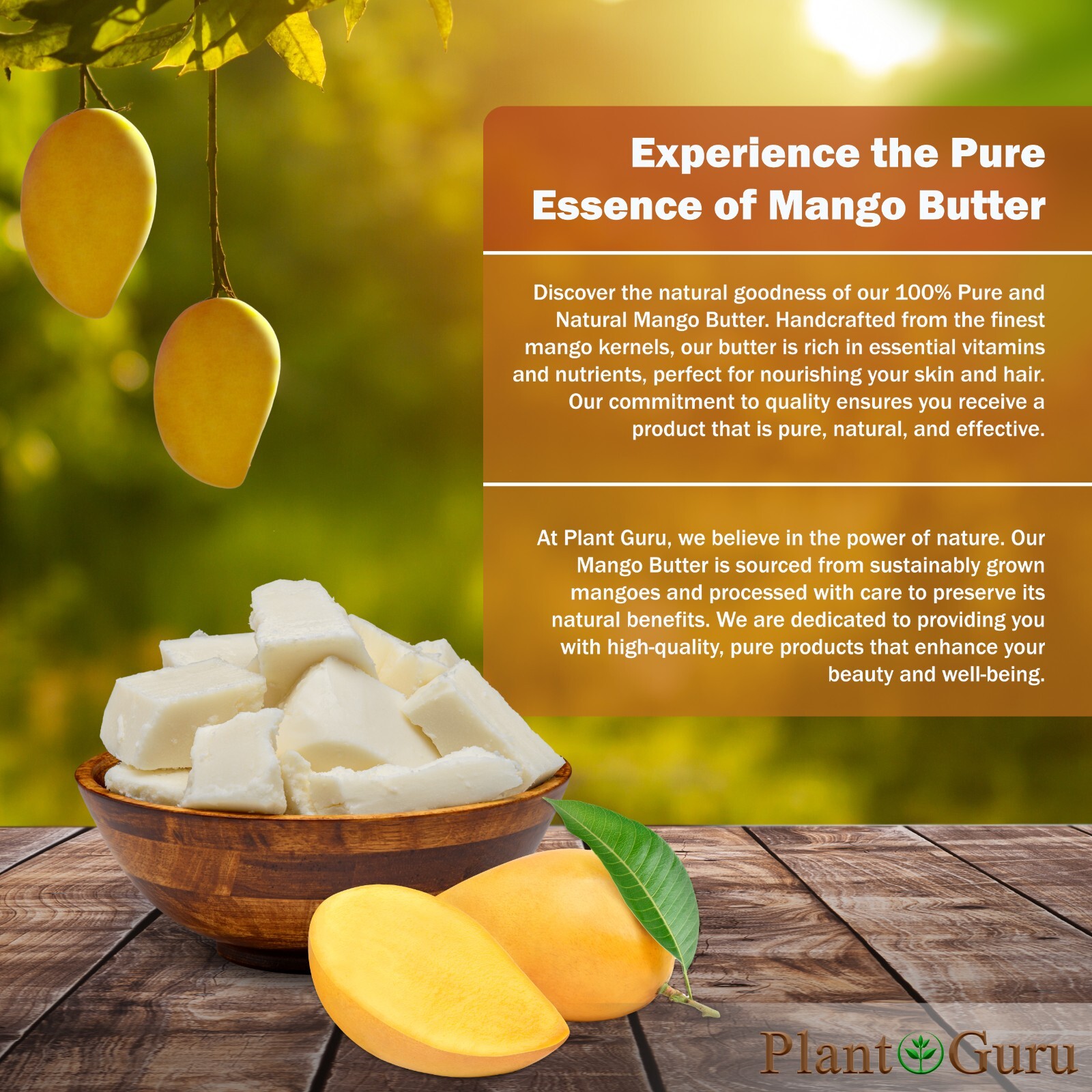Raw Mango Butter BULK WHOLESALE 100% Pure Organic Unrefined Natural 5lb to 50lb