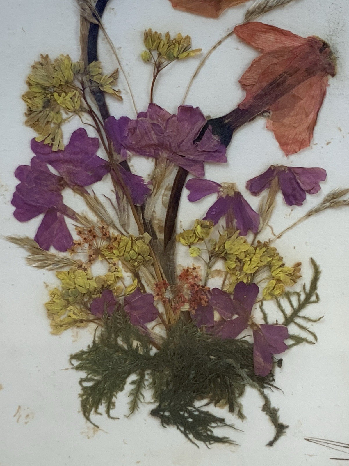 Vintage Austrian Pressed Flower Art Trio – Handmade Tirol Austria/signed