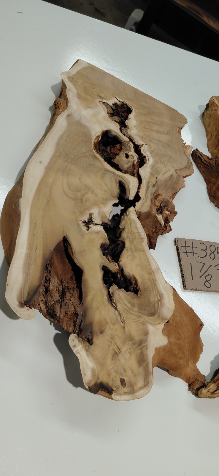 Burl – Fruitless Mulberry Slice. Live Edge. Resin Project, wall art