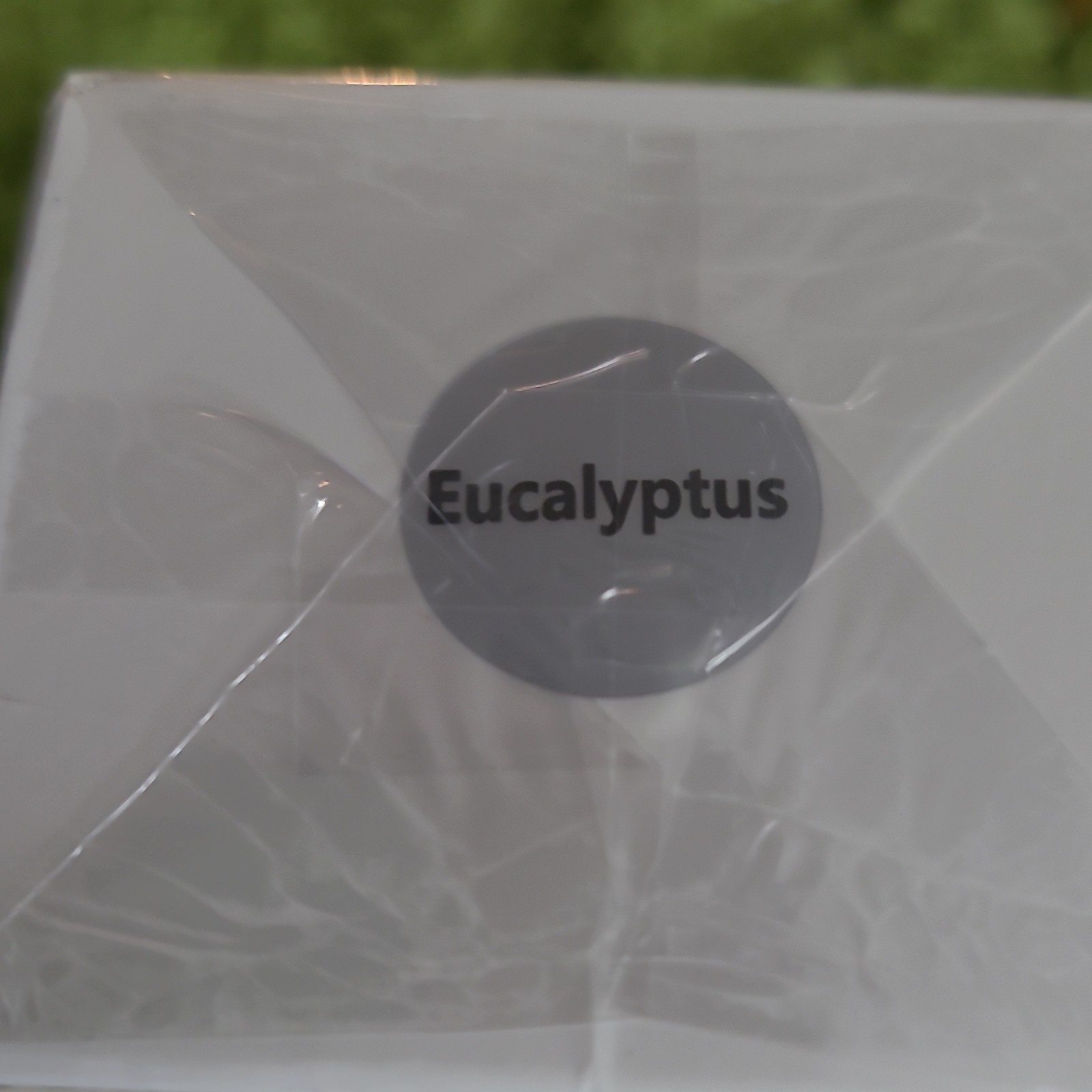 PHATOIL Essential Oil Eucalyptus 100mL 3.38 Fl.Oz Premium Grade SY5524-03