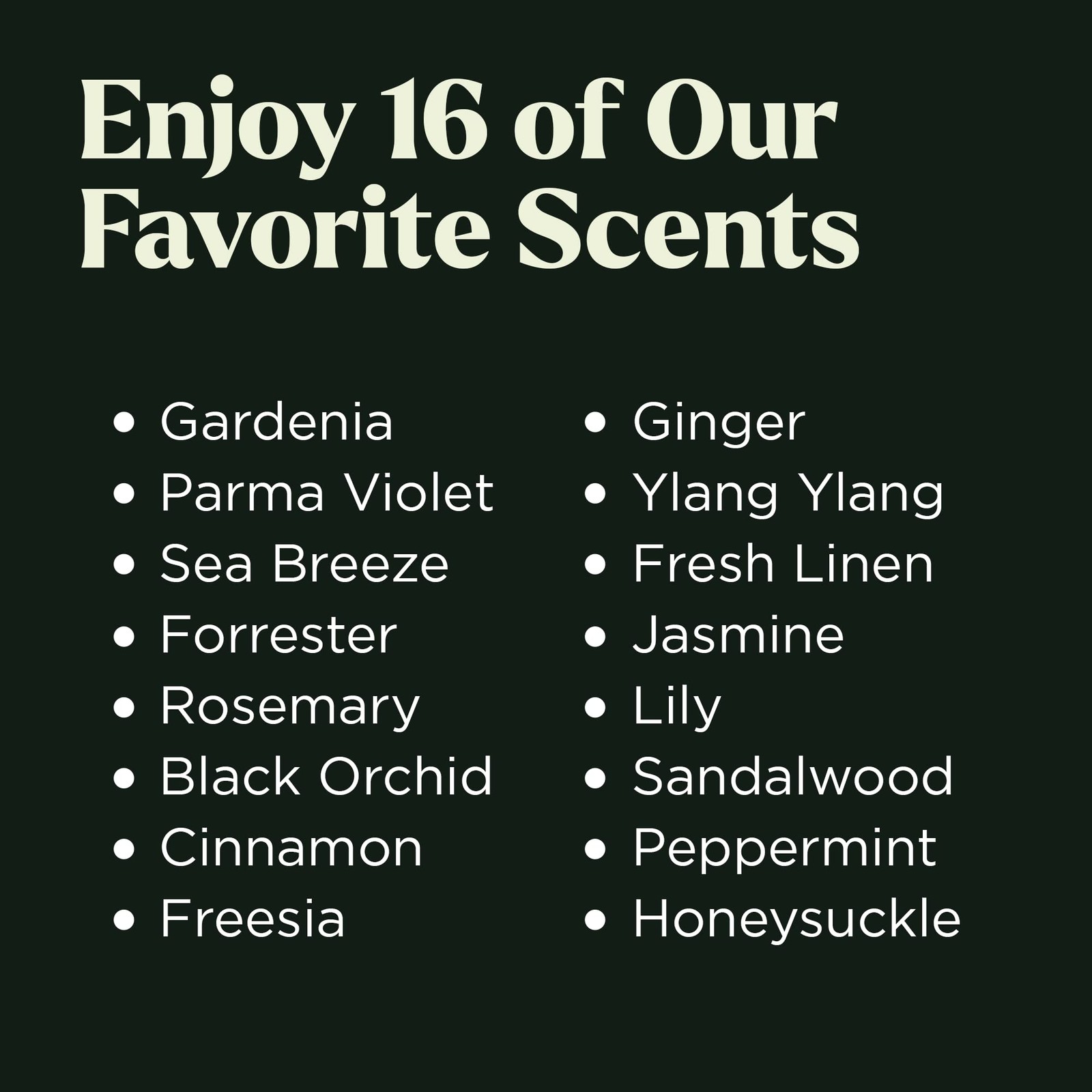 Lagunamoon Fragrance Oil Collection – Premium 16 Piece 5.44 Fl Oz (Pack of 1)