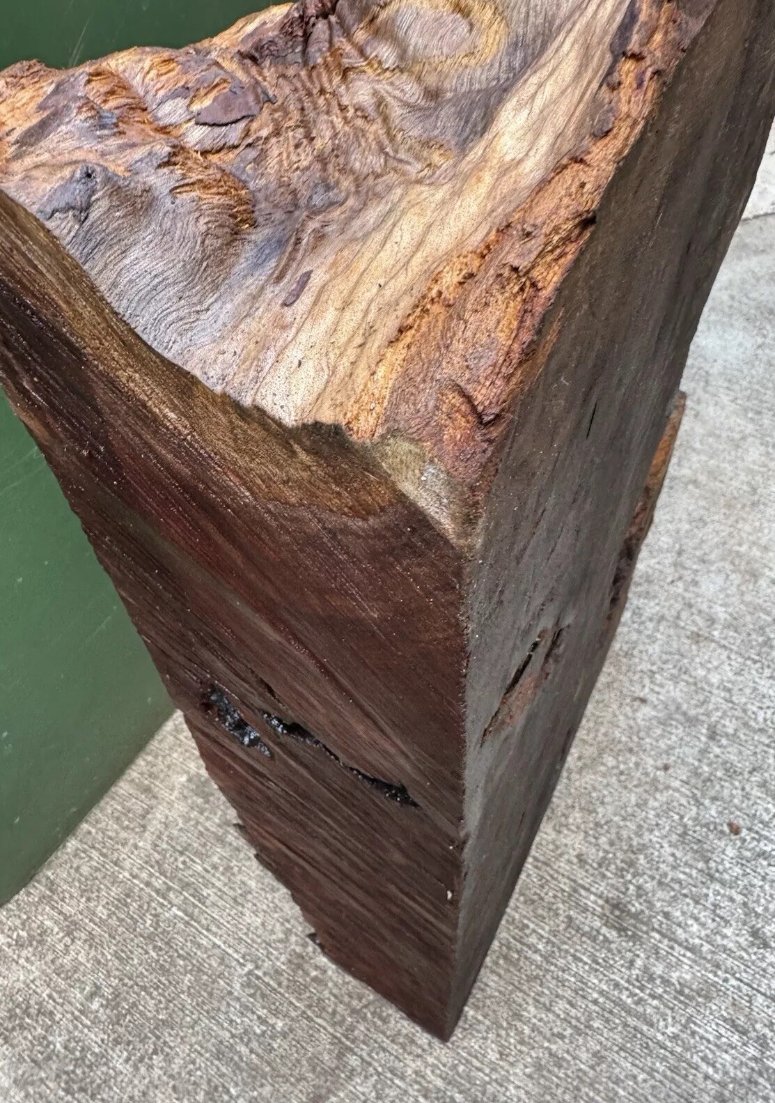 12106 Camphor burl wood turning blank ,hybrid Scale,Dried, 30”x 15”x 6”