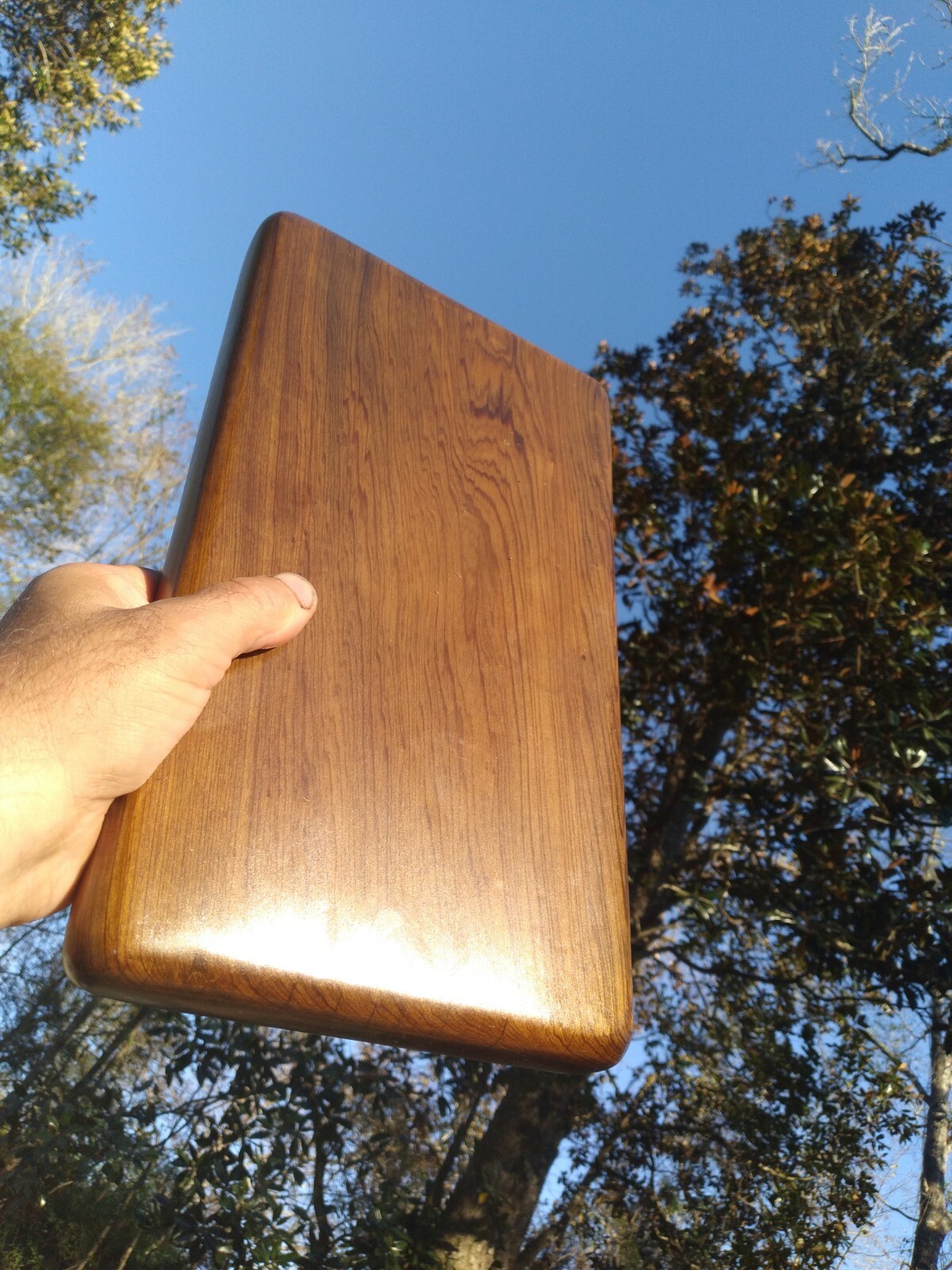Real Old Growth Sinker Cypress Wood Bonsai Stand Shower Table Returns Accepted!