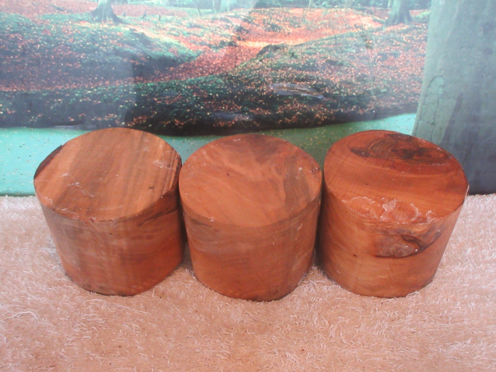 SPALTED SWEET GUM 4 x 3 TURNING WOOD BOWL BLANKS