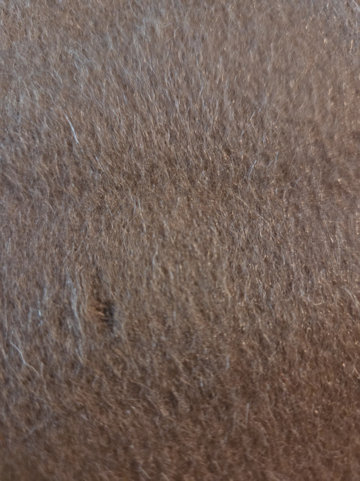 WOOL/MOHAIR BLEND Brown Fabric/Sewing/Craft/Home Dec/Felting 8X8″/Lot 13 pcs