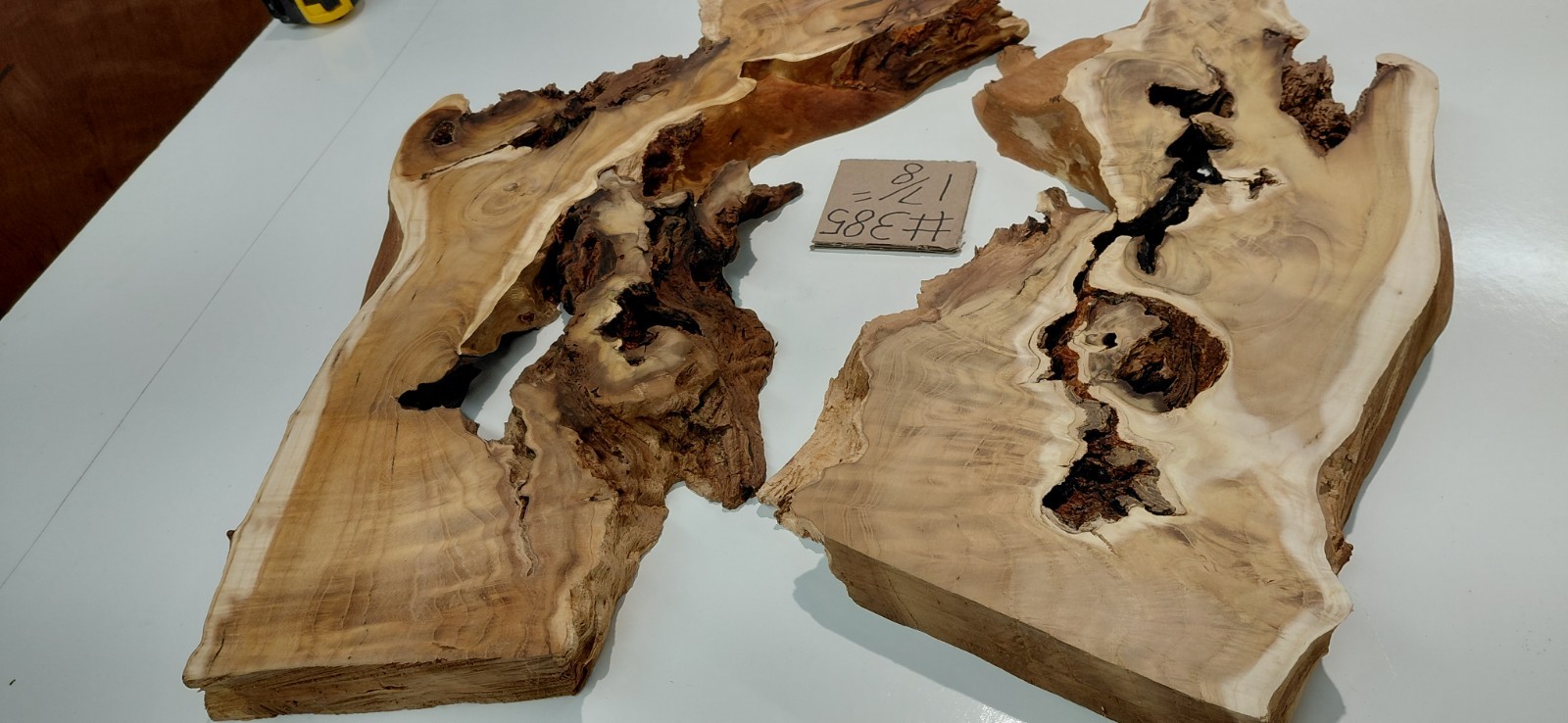 Burl – Fruitless Mulberry Slice. Live Edge. Resin Project, wall art