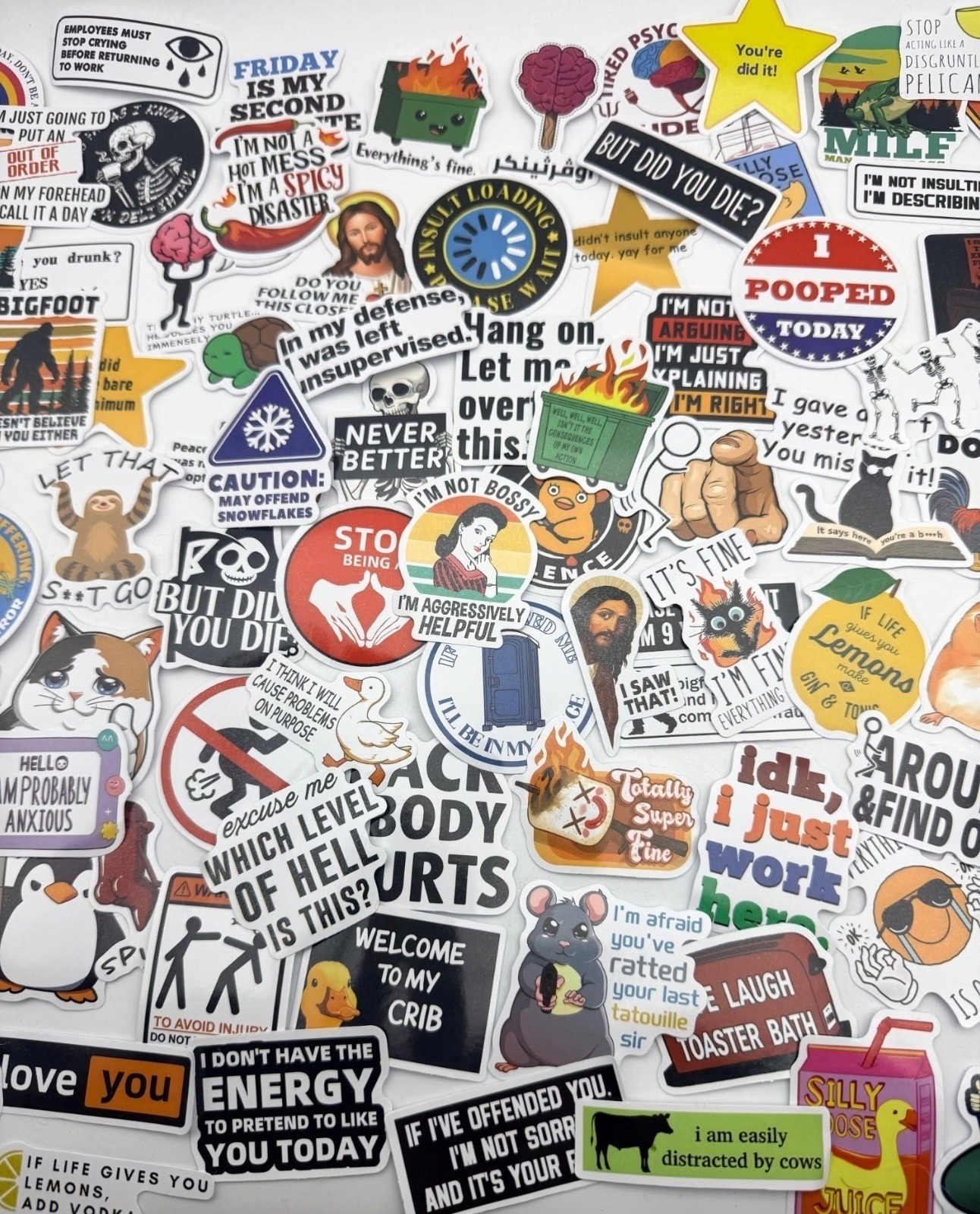 NEW Meme Stickers 15 Pcs Funny Humor Laptop Water Bottle Savage Snarky Sassy