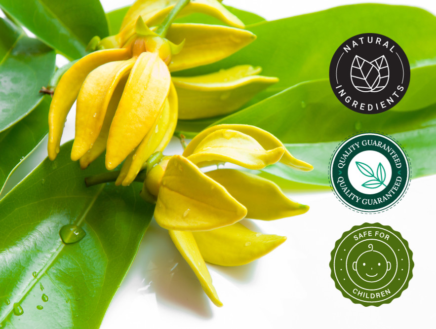 Ylang Ylang Essential Oil 100% Pure Free Shipping 5ml-1gallon