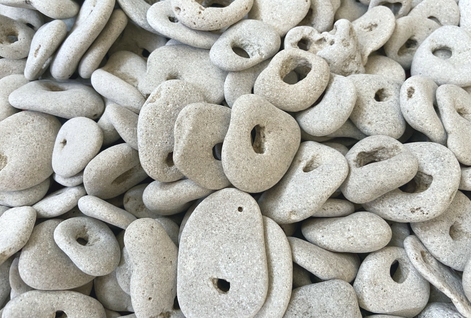 10 Big Natural Hag Stone Bulk Lot 2 In. Holed Raw Witch Wiccan Holey rocks, B2