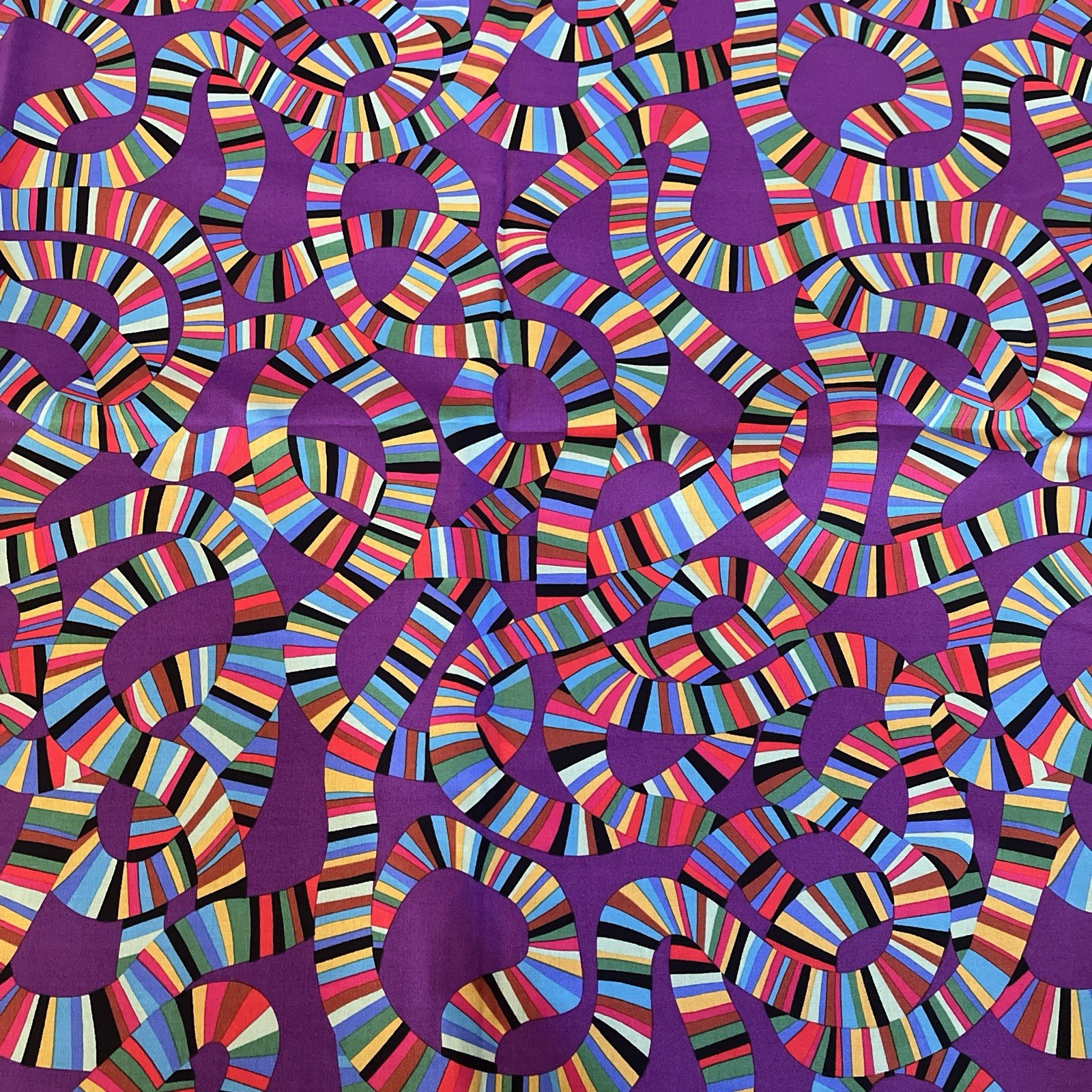 Roller Coaster Purple Multicolor Rainbow Stripes Geometric Pathway Mably BTY