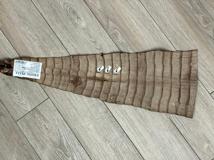 Brown Genuine Alligator Tail Hide Low Grade Leather Skin Gator Croc Belly 438A
