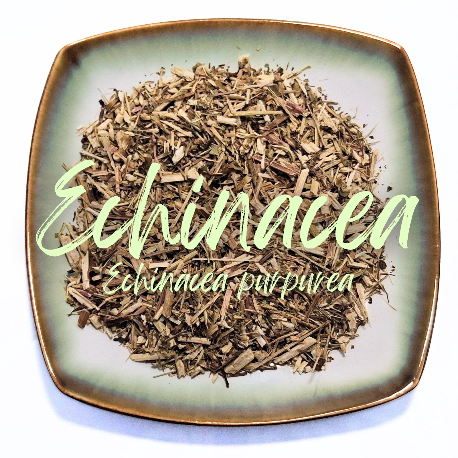 Echinacea Dried Herb – Organic Apothecary – Echinacea purpurea CHOOSE 0.5 – 4 oz