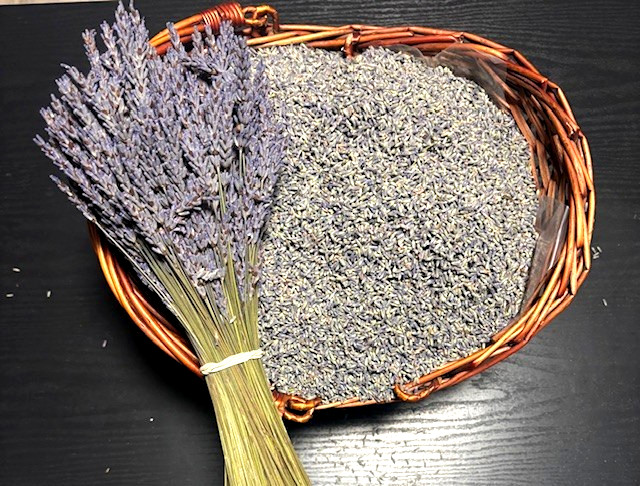 Fresh Dried Lavender (1 pound) Buds from GROSSO (French Variety) strong aroma