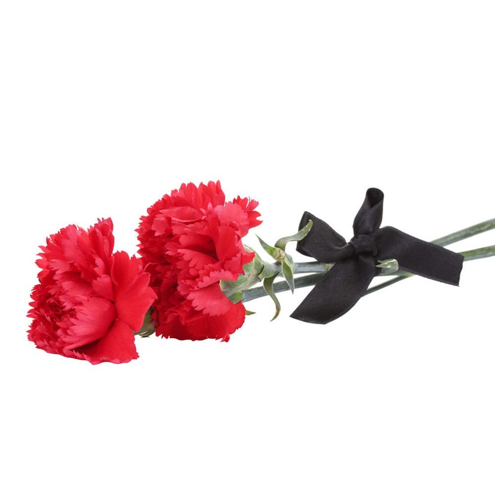 Solid Color Double Faced Black Satin Ribbon 1/2″ X 25 Yards, Ribbons Perfect for