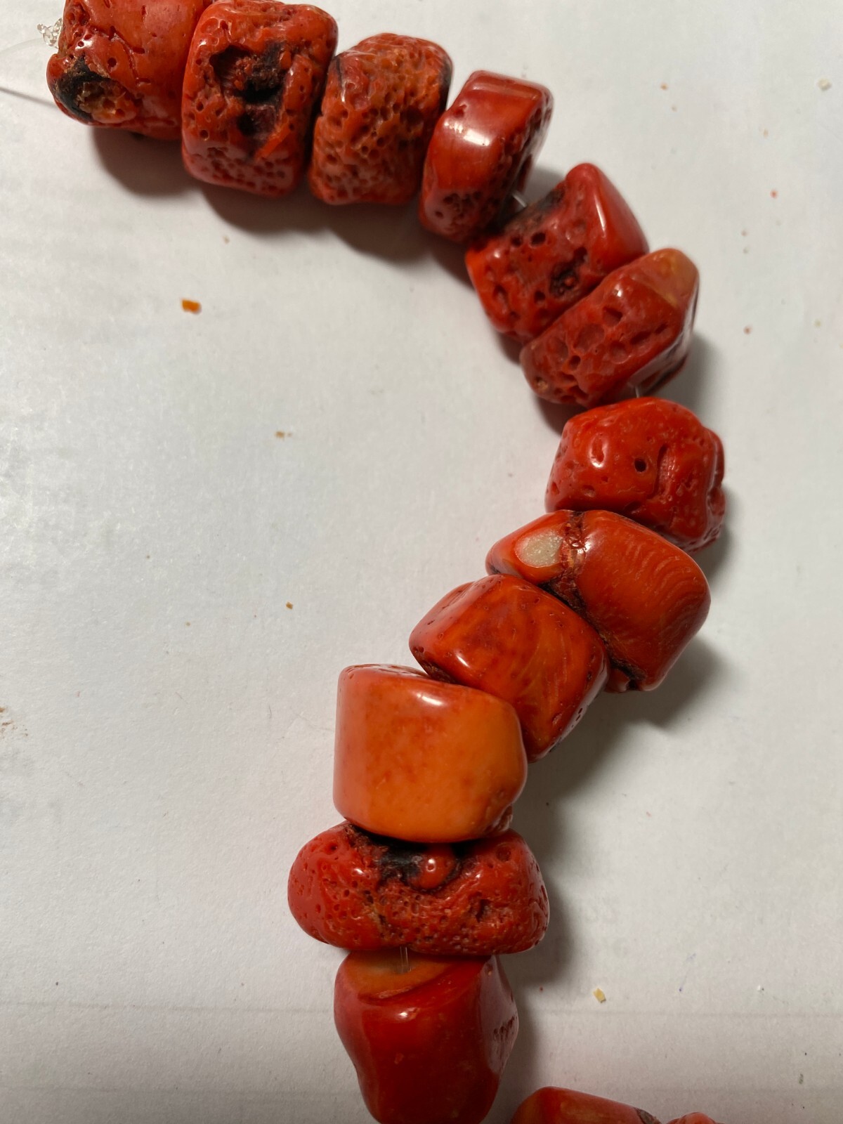 Bamboo Coral Beads 4mm to 28mm