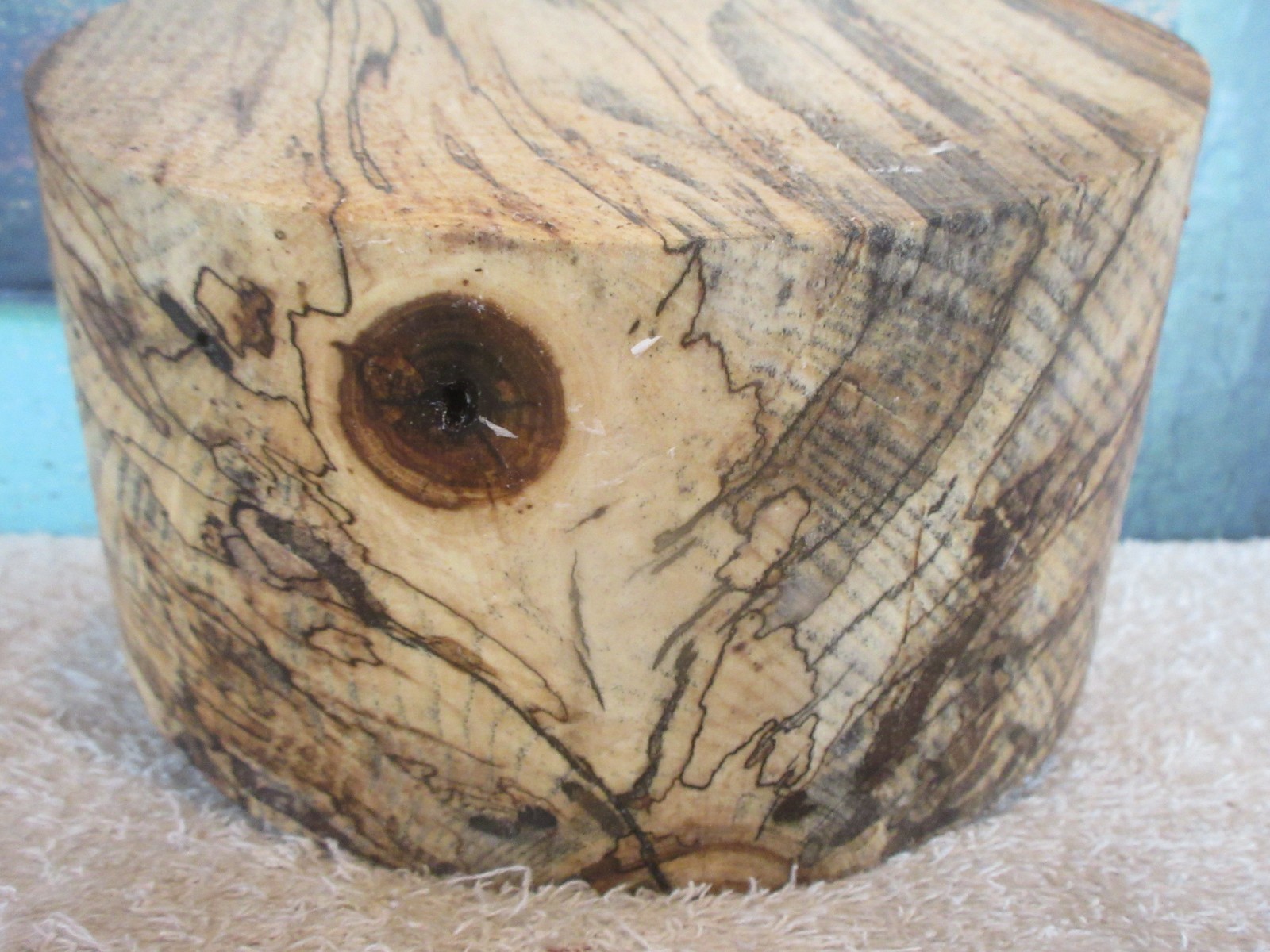 SPALTED HACKBERRY 8 x 4 1/4 TURNING WOOD BOWL BLANK