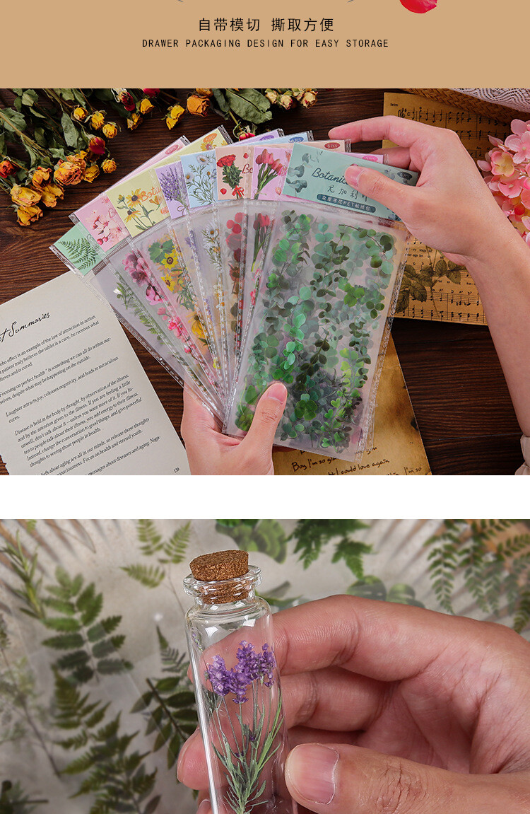 6Pcs Natural Journal Stickers PET Sticker Paper Scrapbooking Material Scrapbook